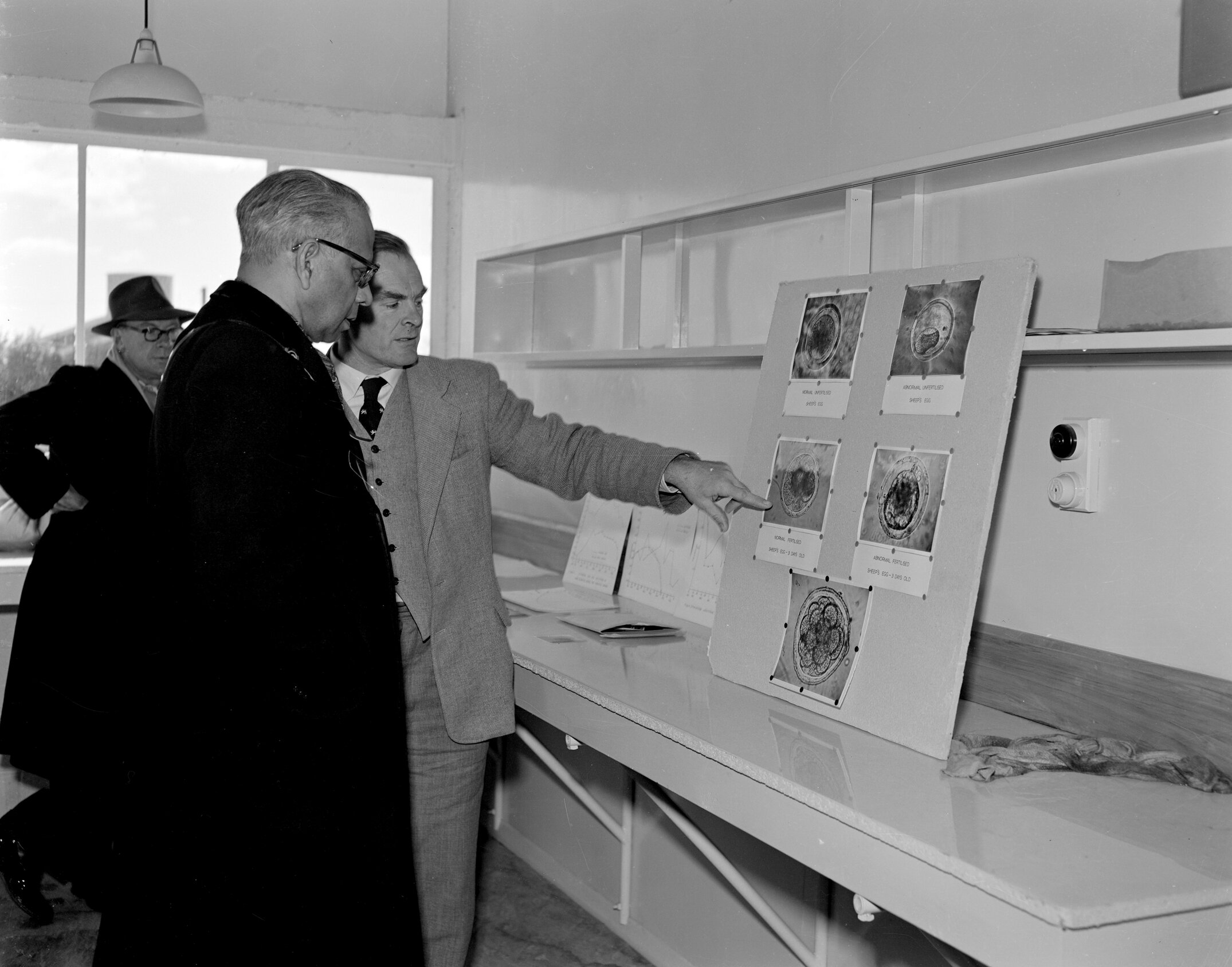 Mr B.R. Sen, Director-General, F.A.O., Rome visits Lincoln (Blackmore Neg 5143)