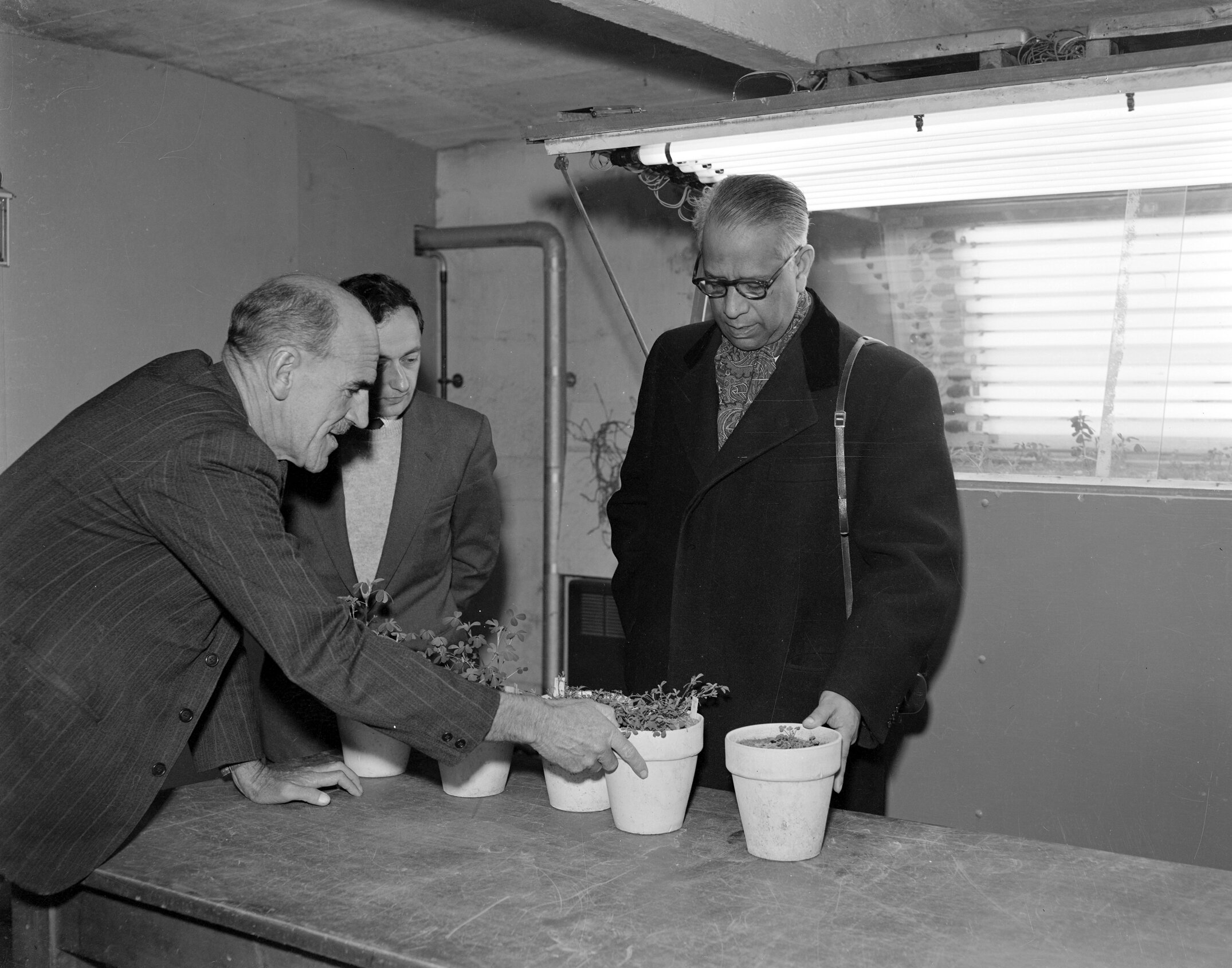 A visit to the Plant Science laboratory by C.E.Iversen, R.H.Langer and Dr Sen 1960 (Blackmore Neg 5144)
