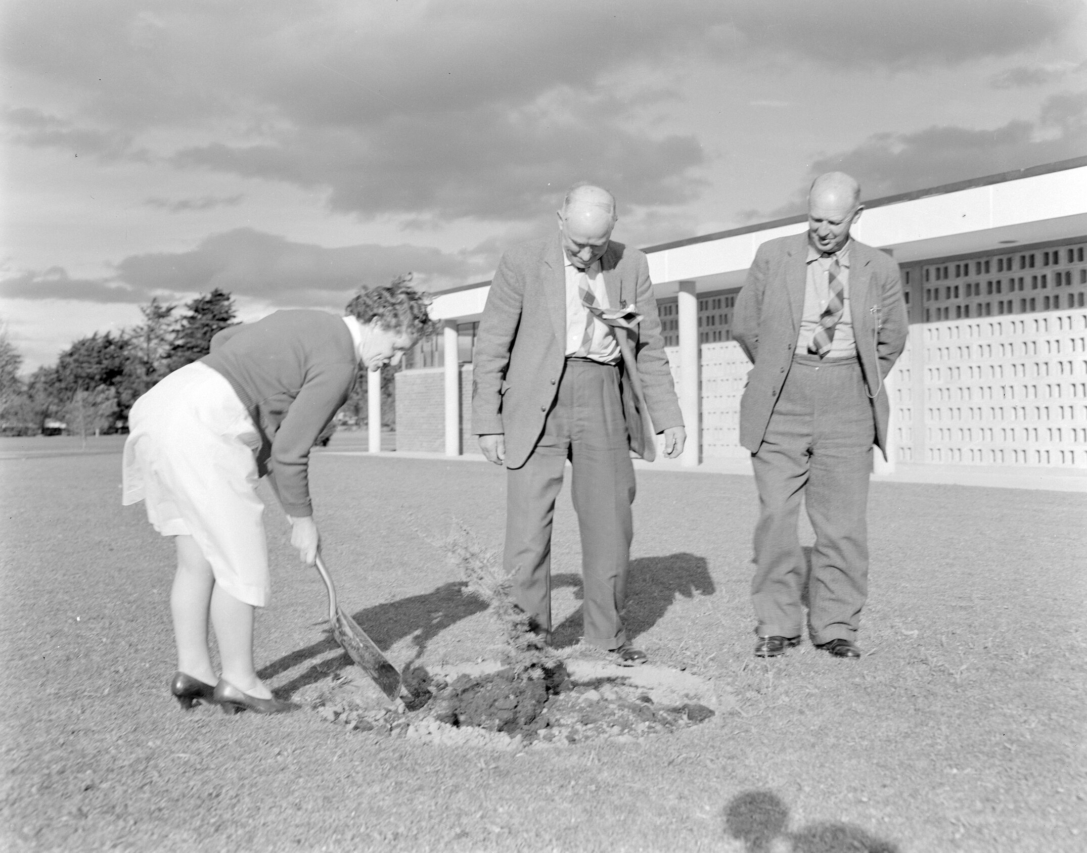 Retirement tree planting ceremony for long-serving staff member Miss E. A. Lilburne with P. G. Stevens and L. Morrison at Canterbury Agricultural College, December 1961