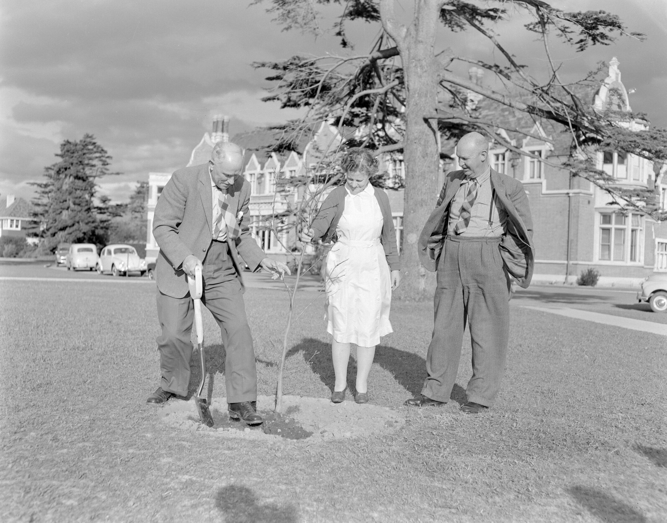 Memorial tree planting during staff retirement ceremony at Canterbury Agricultural College, December 1961. L. Morrison, E. A. Lilburne, and P. G. Stevens.
