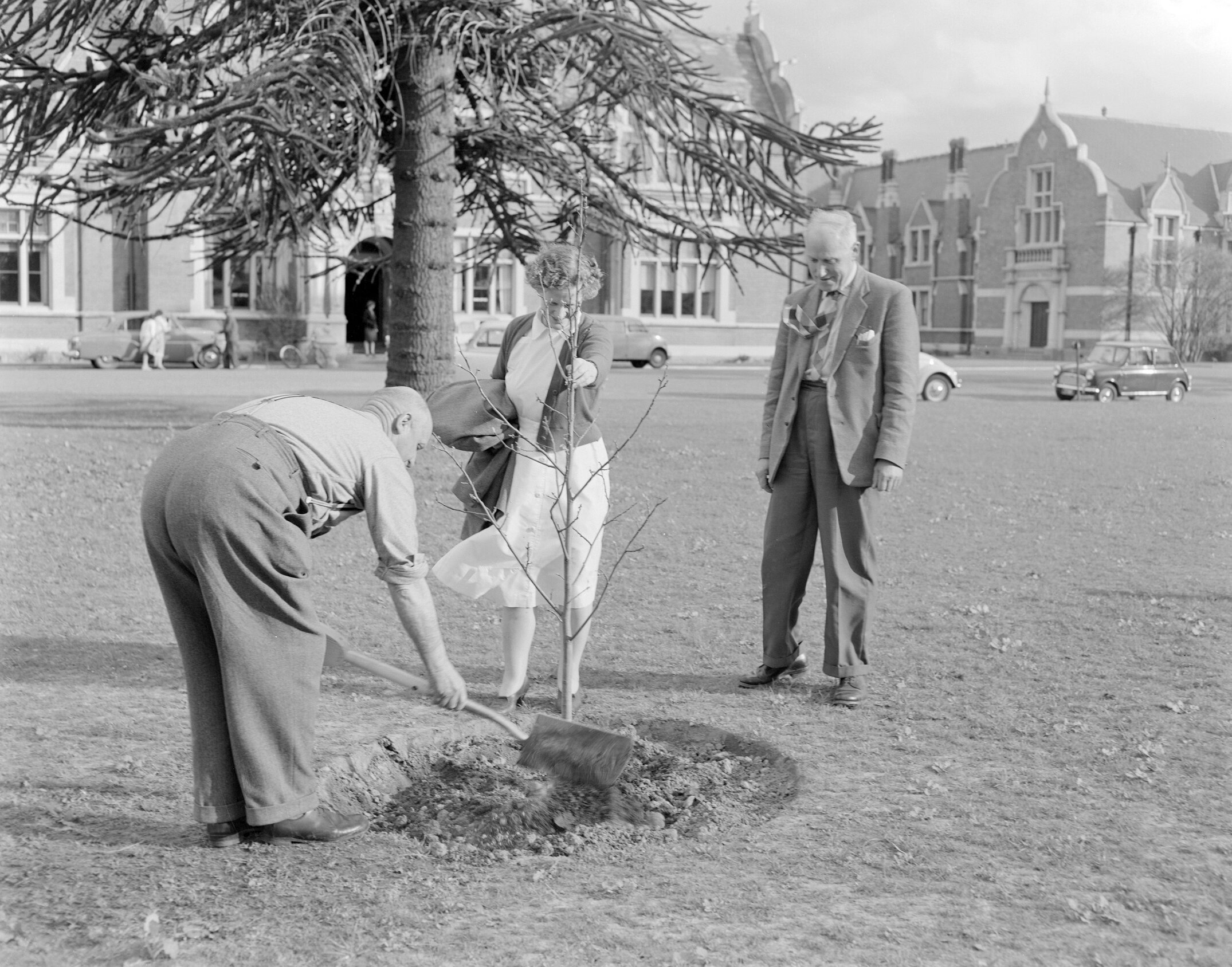 Memorial tree planting during staff retirement ceremony at Canterbury Agricultural College, December 1961. P. G. Stevens, E. A. Lilburne, and L. Morrison (Blackmore Neg5169)