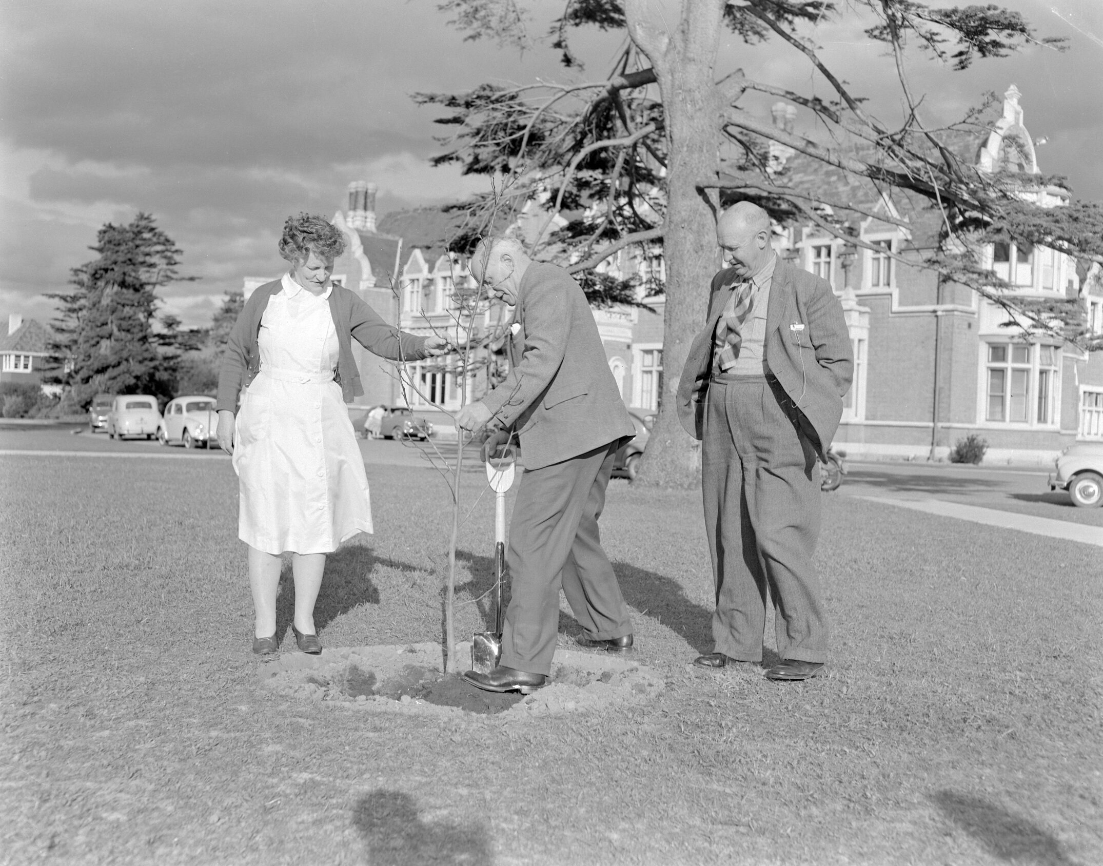 Memorial tree planting during staff retirement ceremony at Canterbury Agricultural College, December 1961. L. Morrison, E. A. Lilburne, and P. G. Stevens (Blackmore Neg5168)