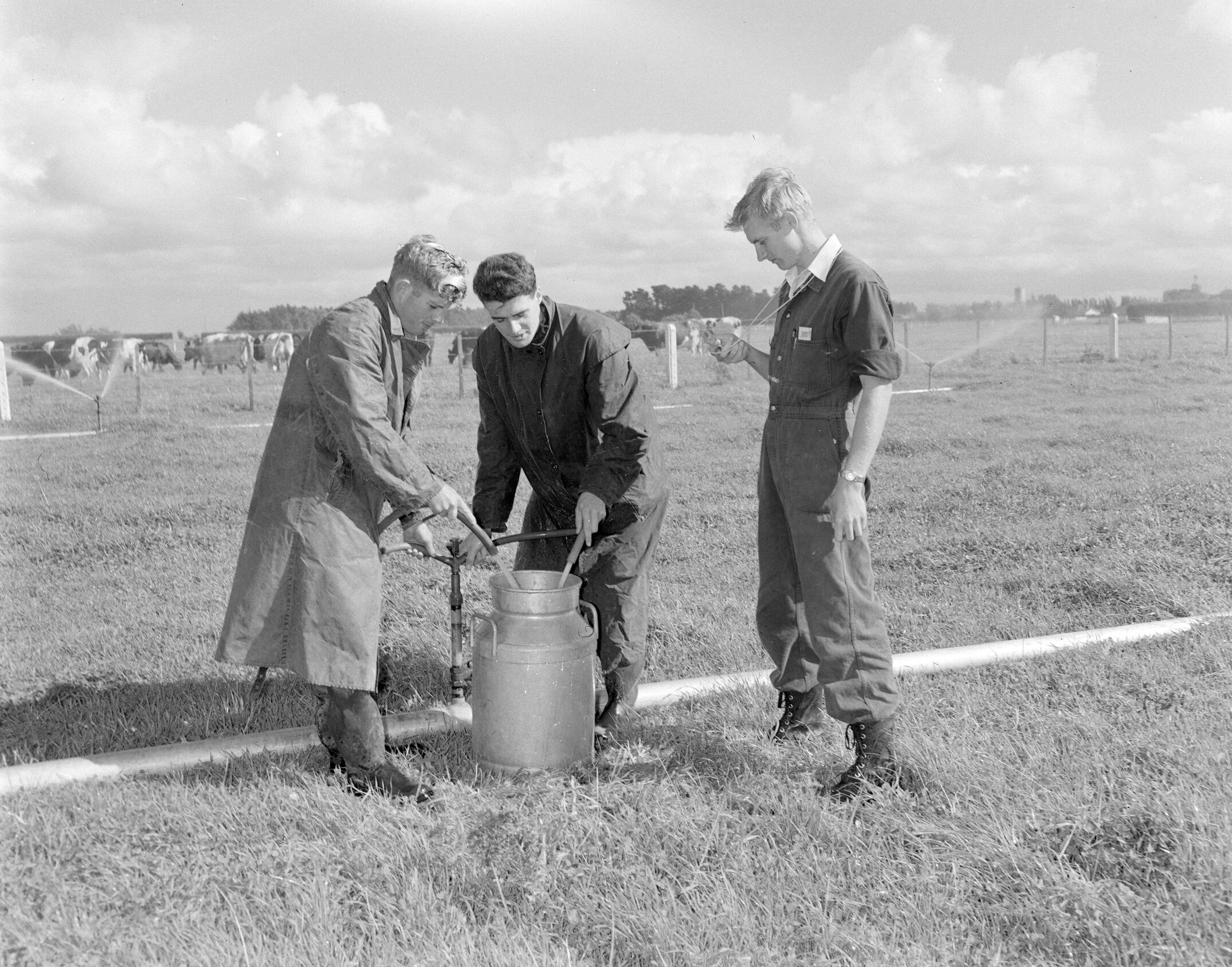  Students measuring discharge from an irrigation system on a dairy farm, 1957 (Blackmore Neg 5178)