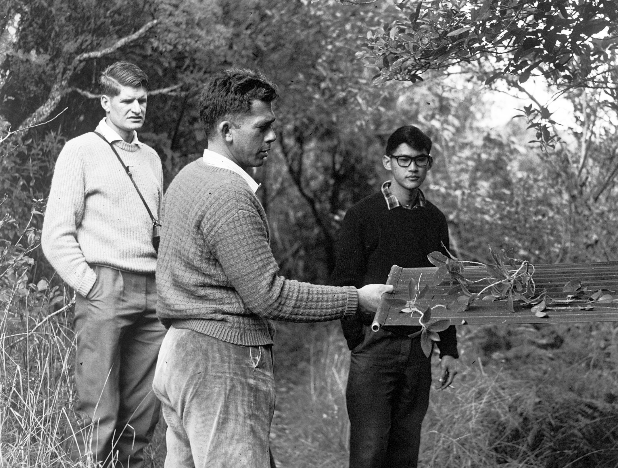 Student research in agricultural zoology 1964 (Blackmore Negative 5182)
