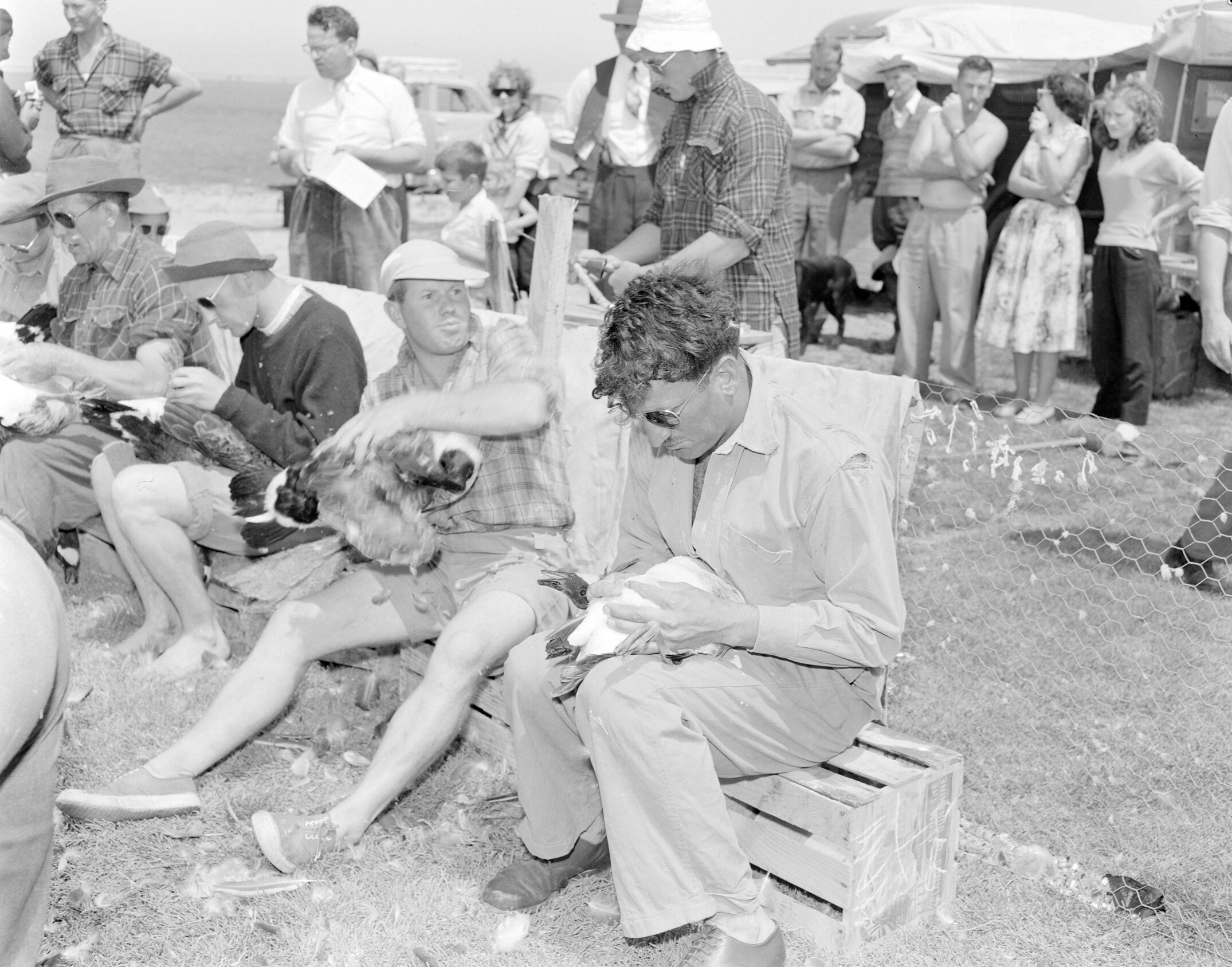 Students participating in a goose drive (Blackmore Neg 5190)