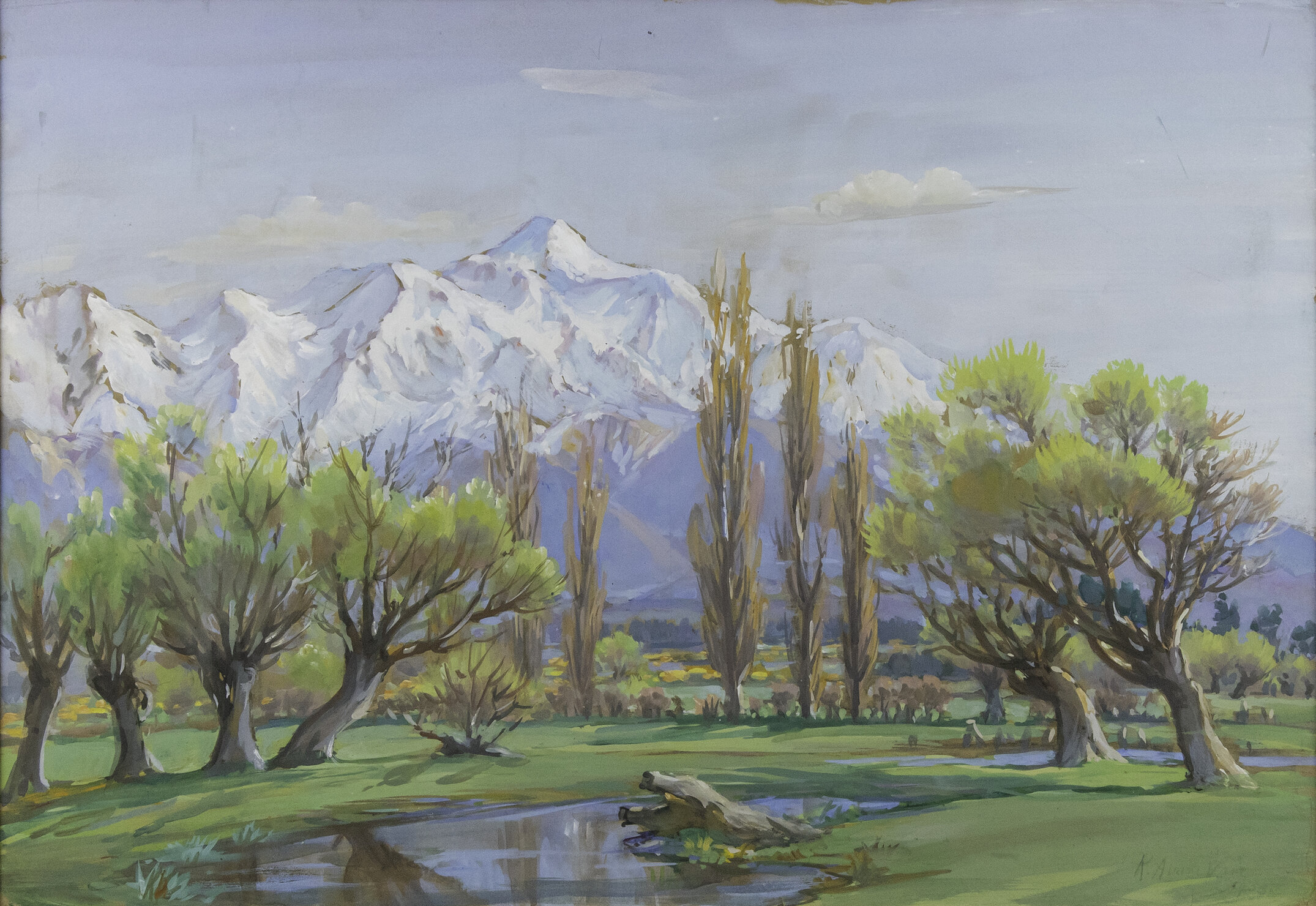 Spring Seaward Kaikouras