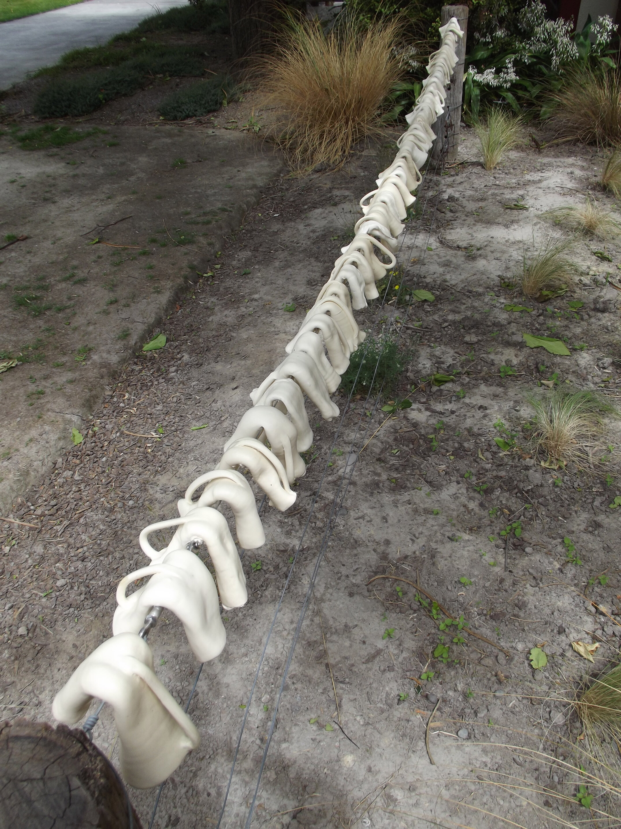 2012 Lincoln campus view  (10)