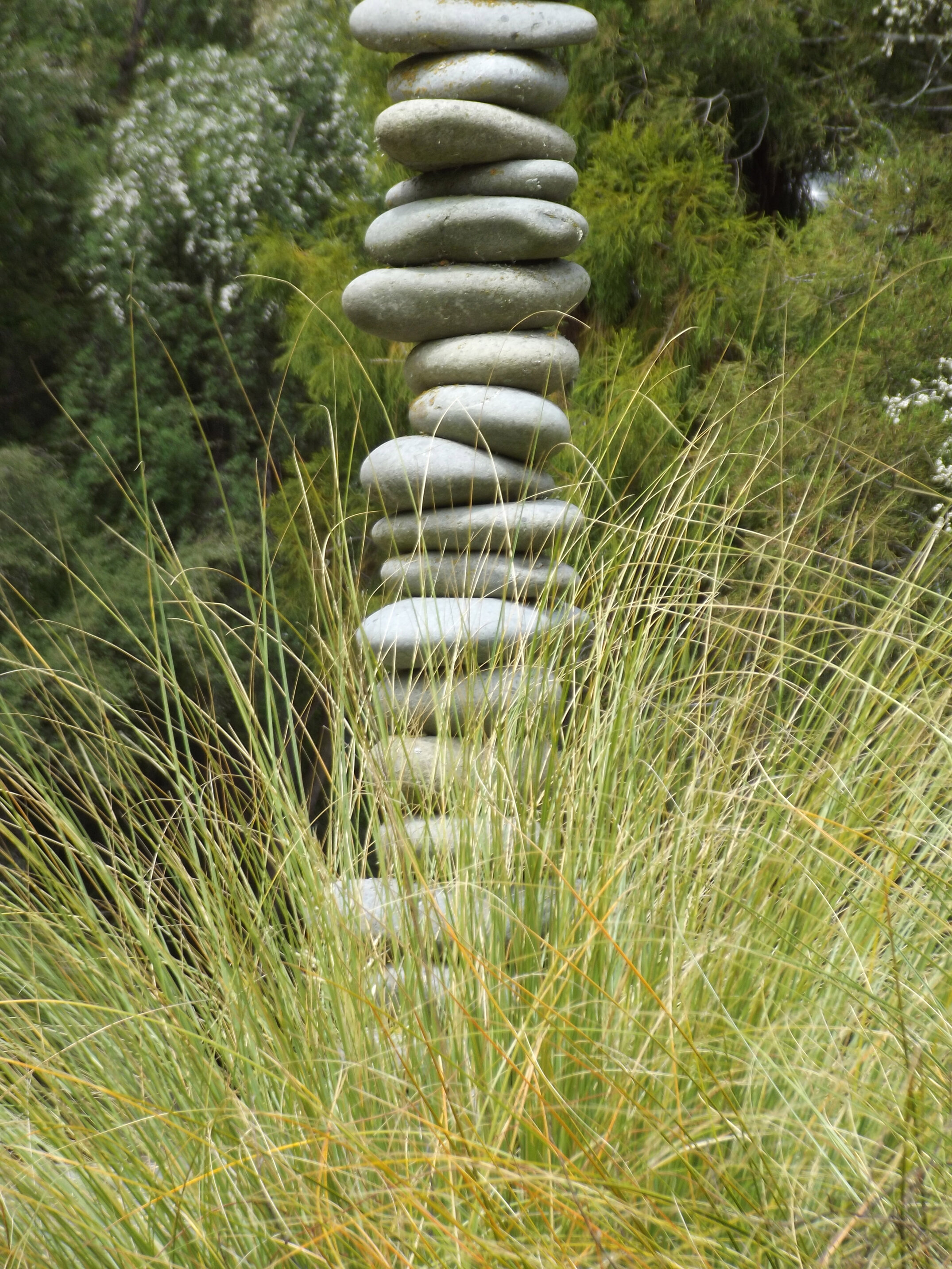 2012 Lincoln campus view  (14)