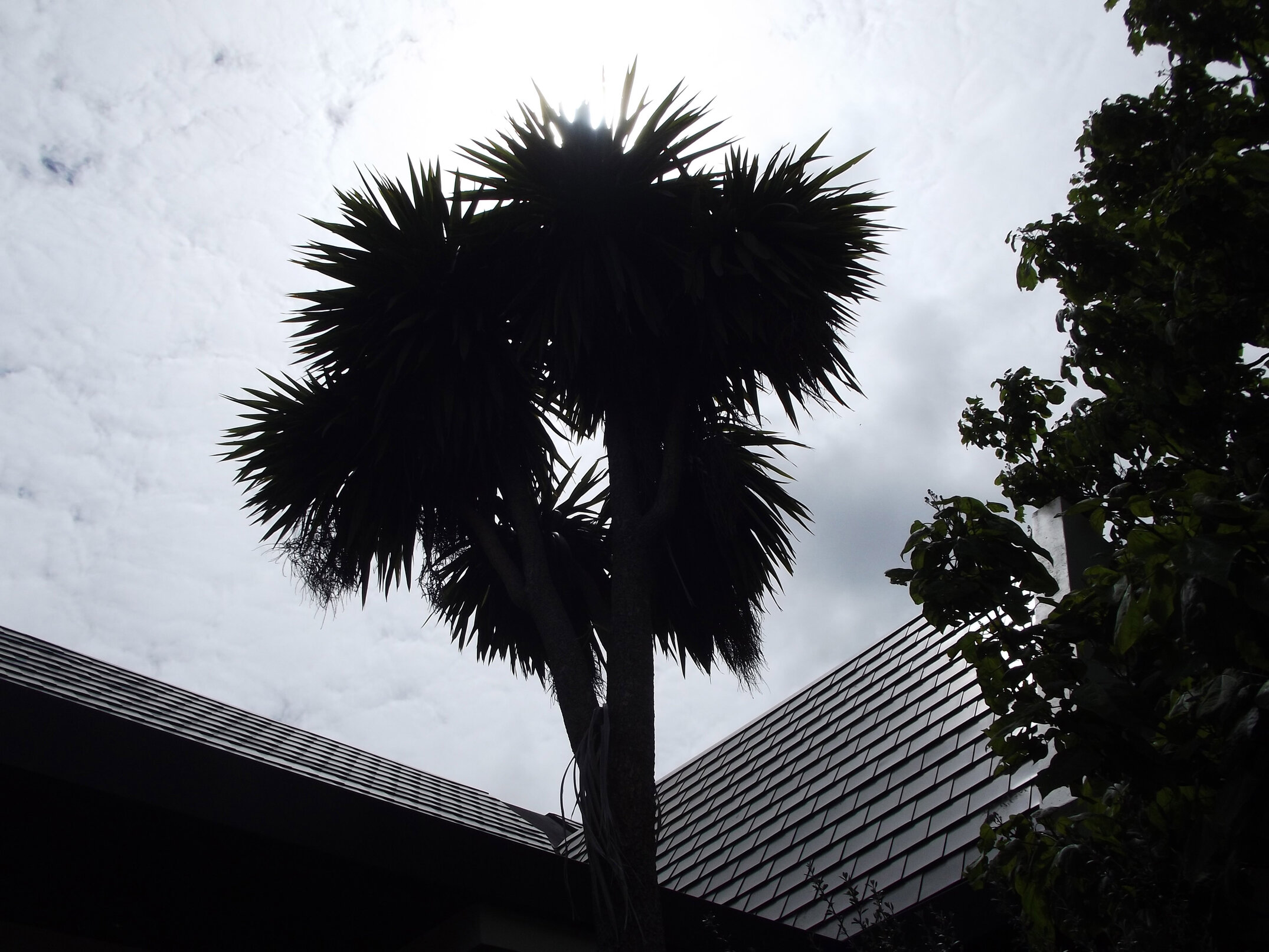 2012 Lincoln campus view  (19)