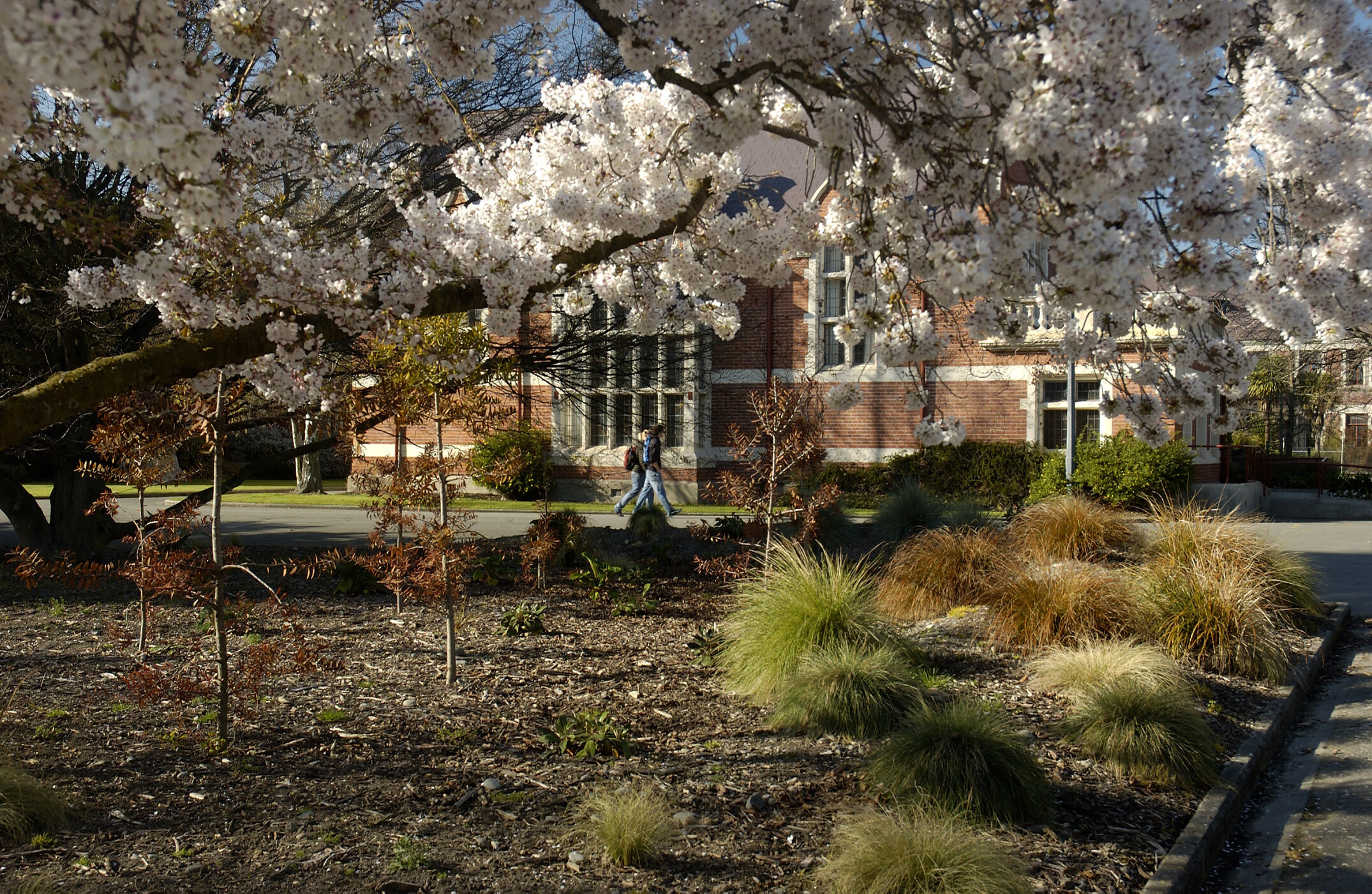 Lincoln Campus in Spring, 12 September 2006 (03)