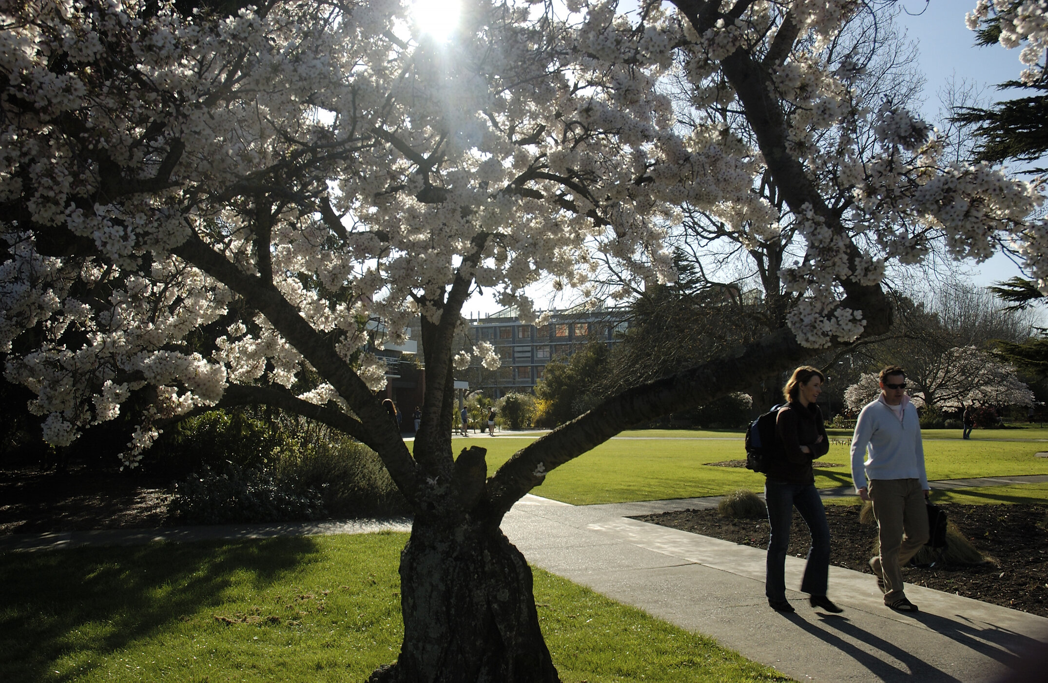 Lincoln Campus in Spring, 12 September 2006 (04)