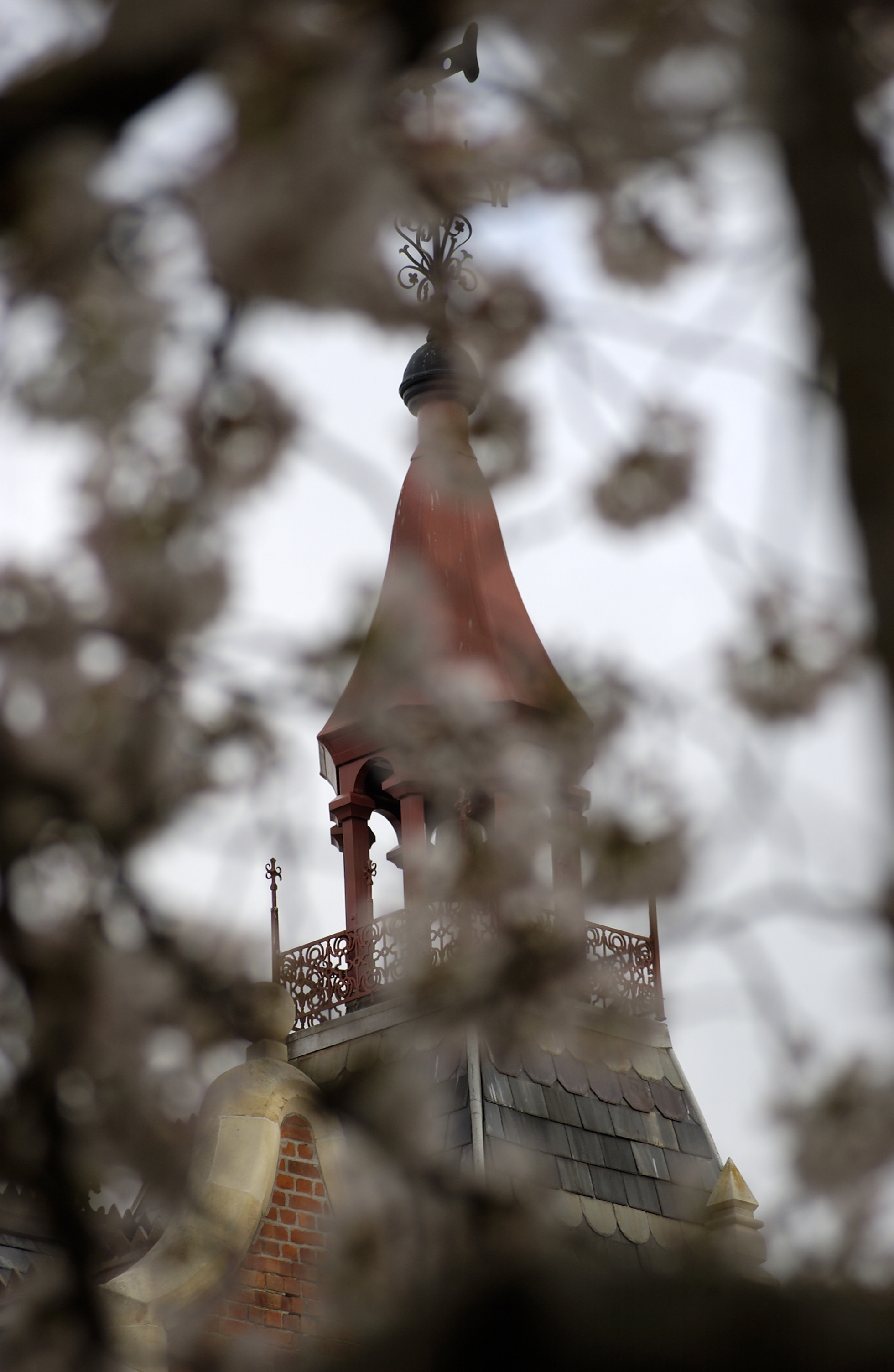 Lincoln Campus in Spring, 12 September 2006 (41)