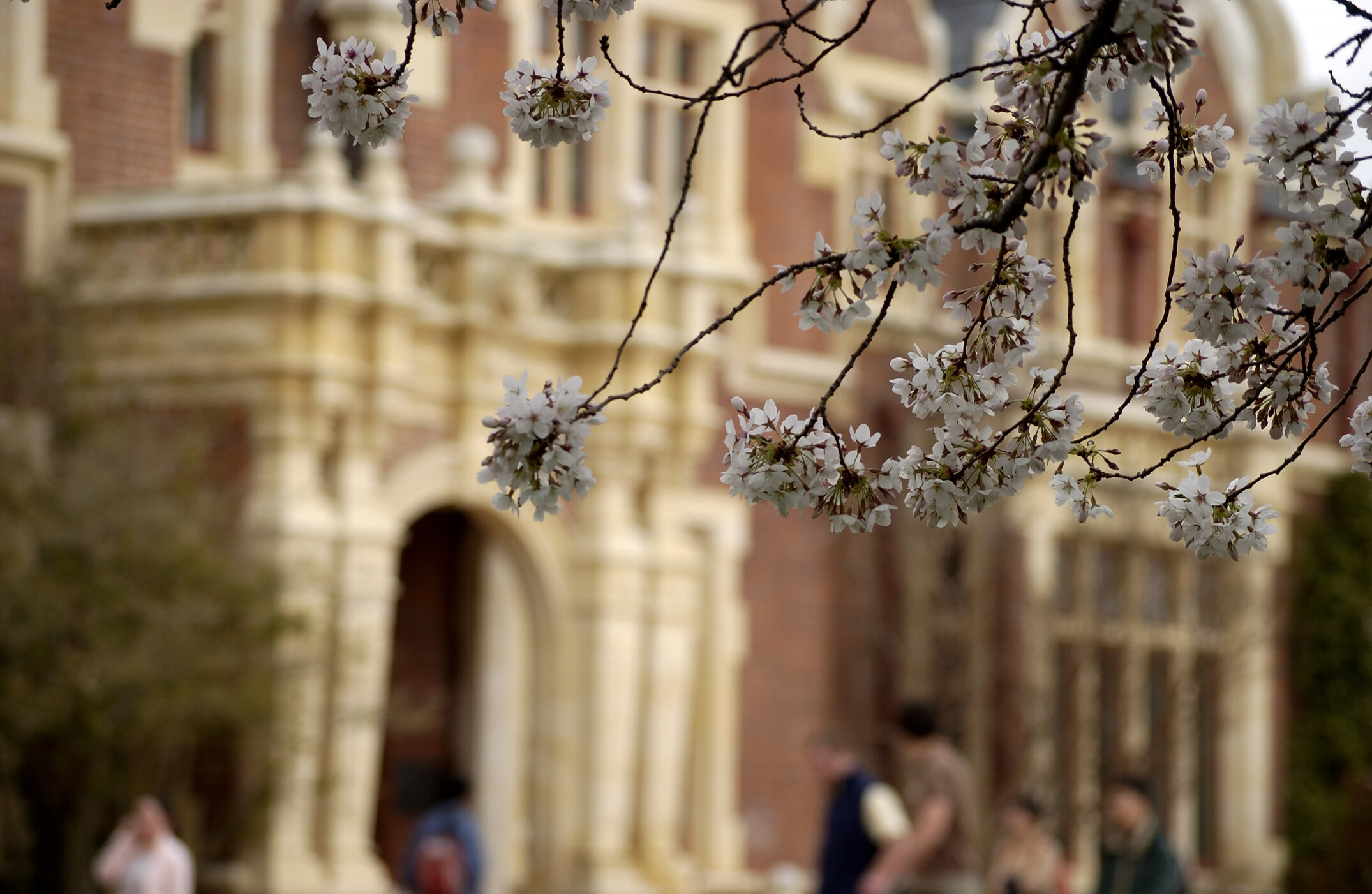 Lincoln Campus in Spring, 12 September 2006 (40)