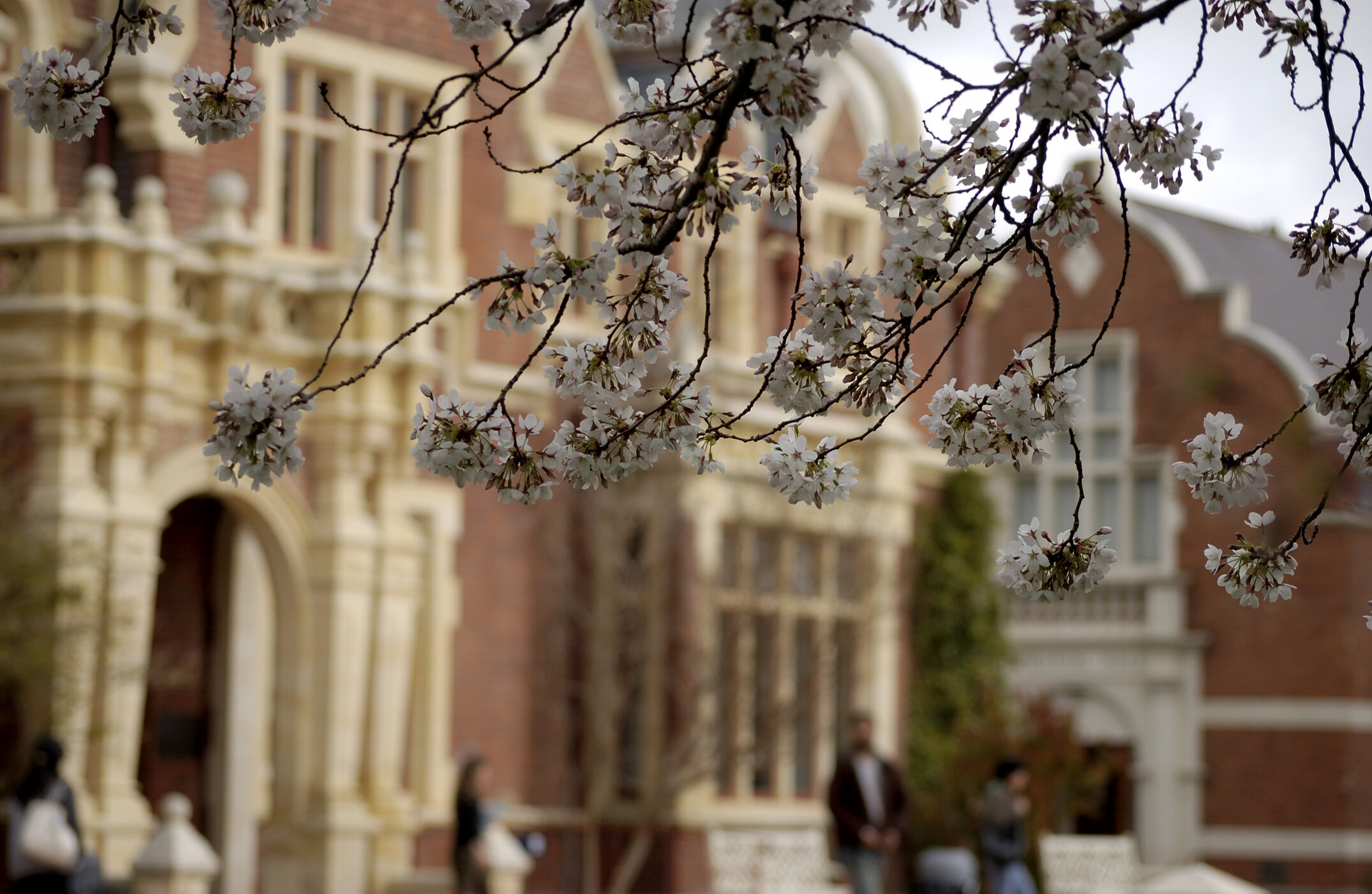 Lincoln Campus in Spring, 12 September 2006 (39)