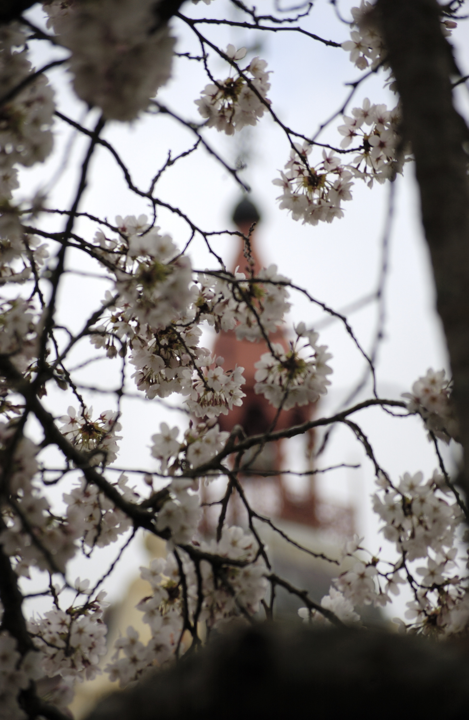 Lincoln Campus in Spring, 12 September 2006 (42)