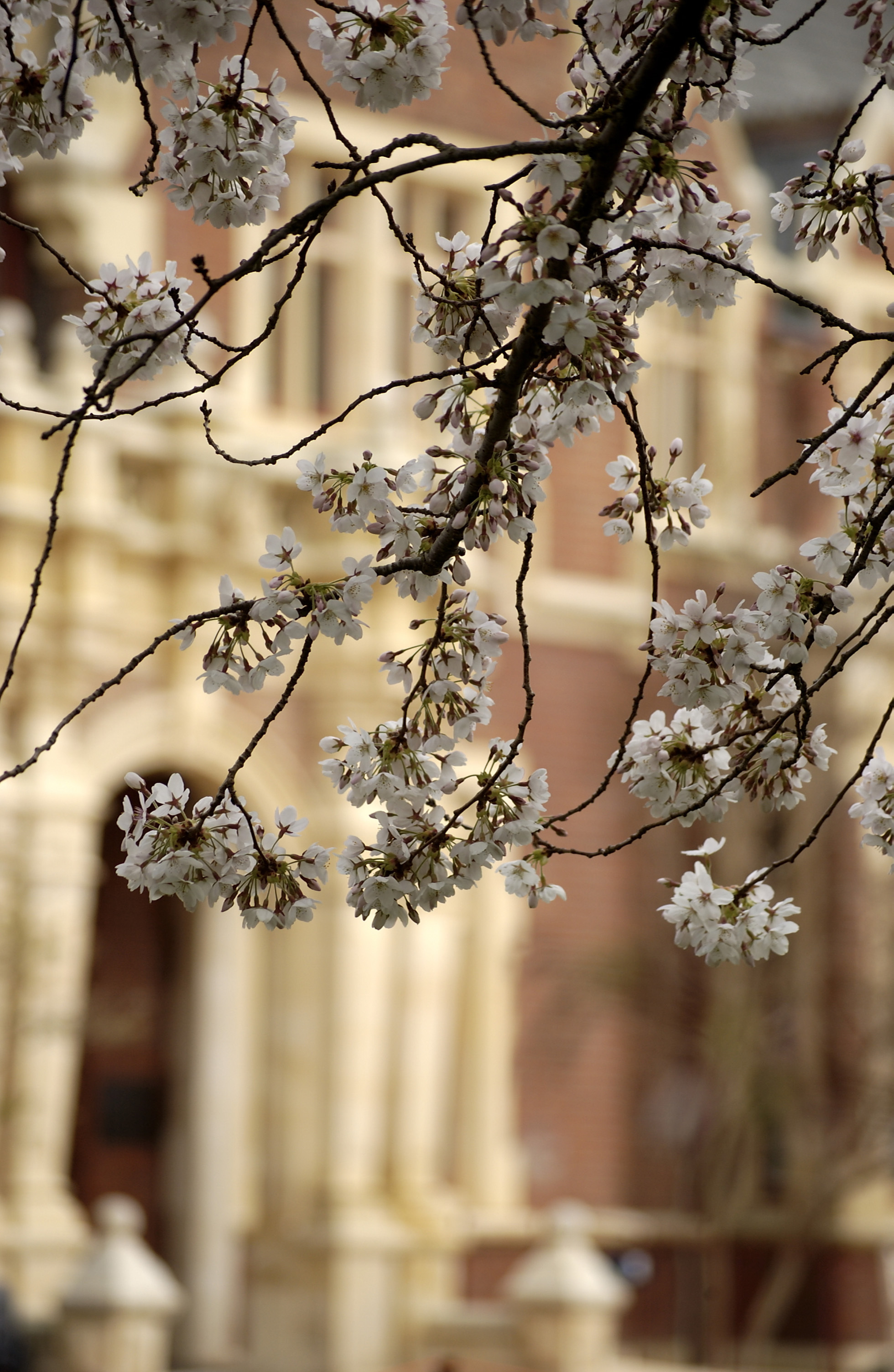 Lincoln Campus in Spring, 12 September 2006 (45)