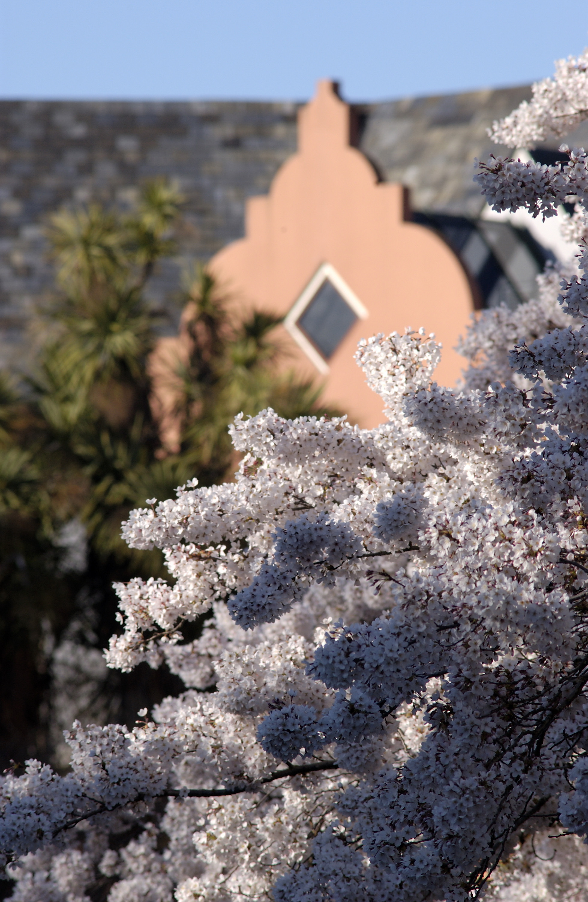 Lincoln Campus in Spring, 12 September 2006 (15)