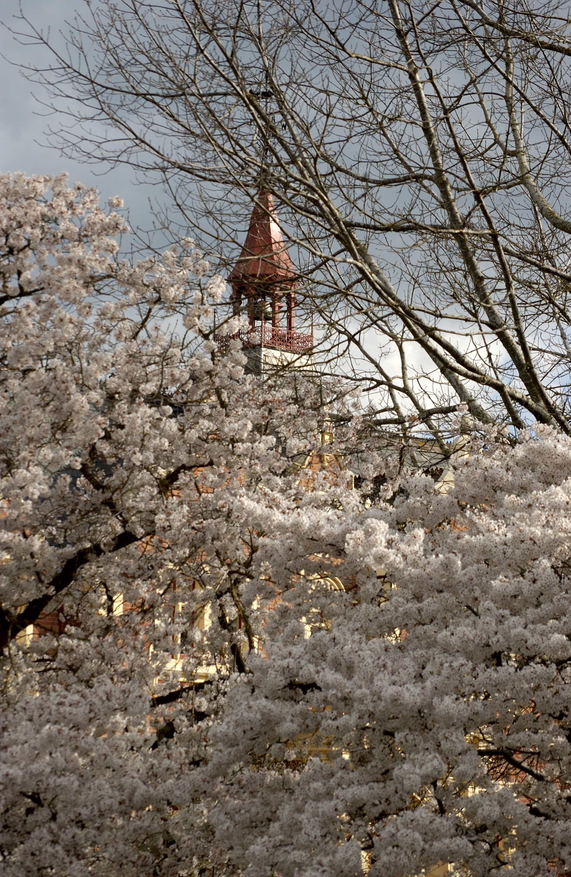Lincoln Campus in Spring, 14 September 2006 (22)