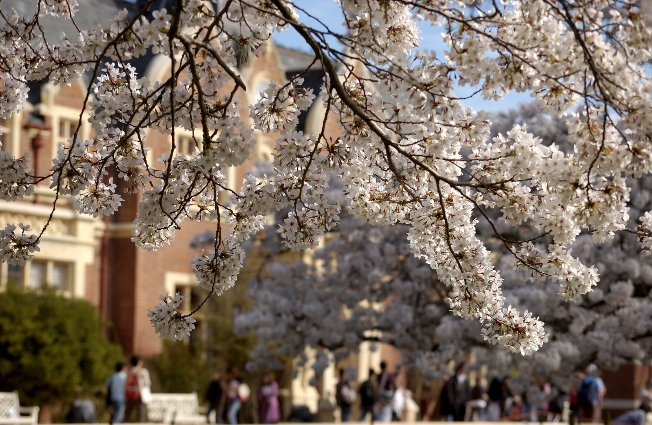 Lincoln Campus in Spring, 12 September 2006 (36)