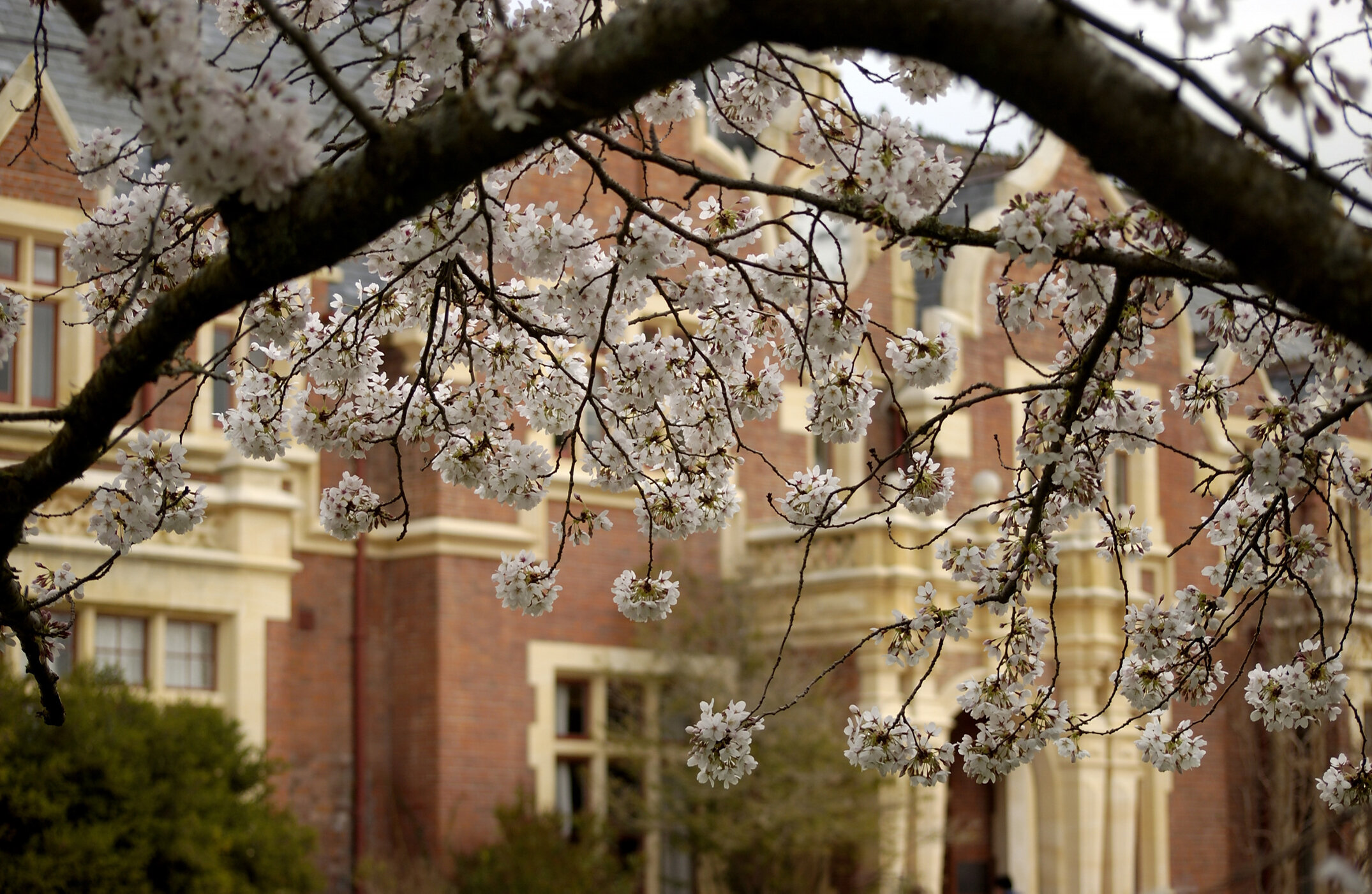 Lincoln Campus in Spring, 12 September 2006 (44)