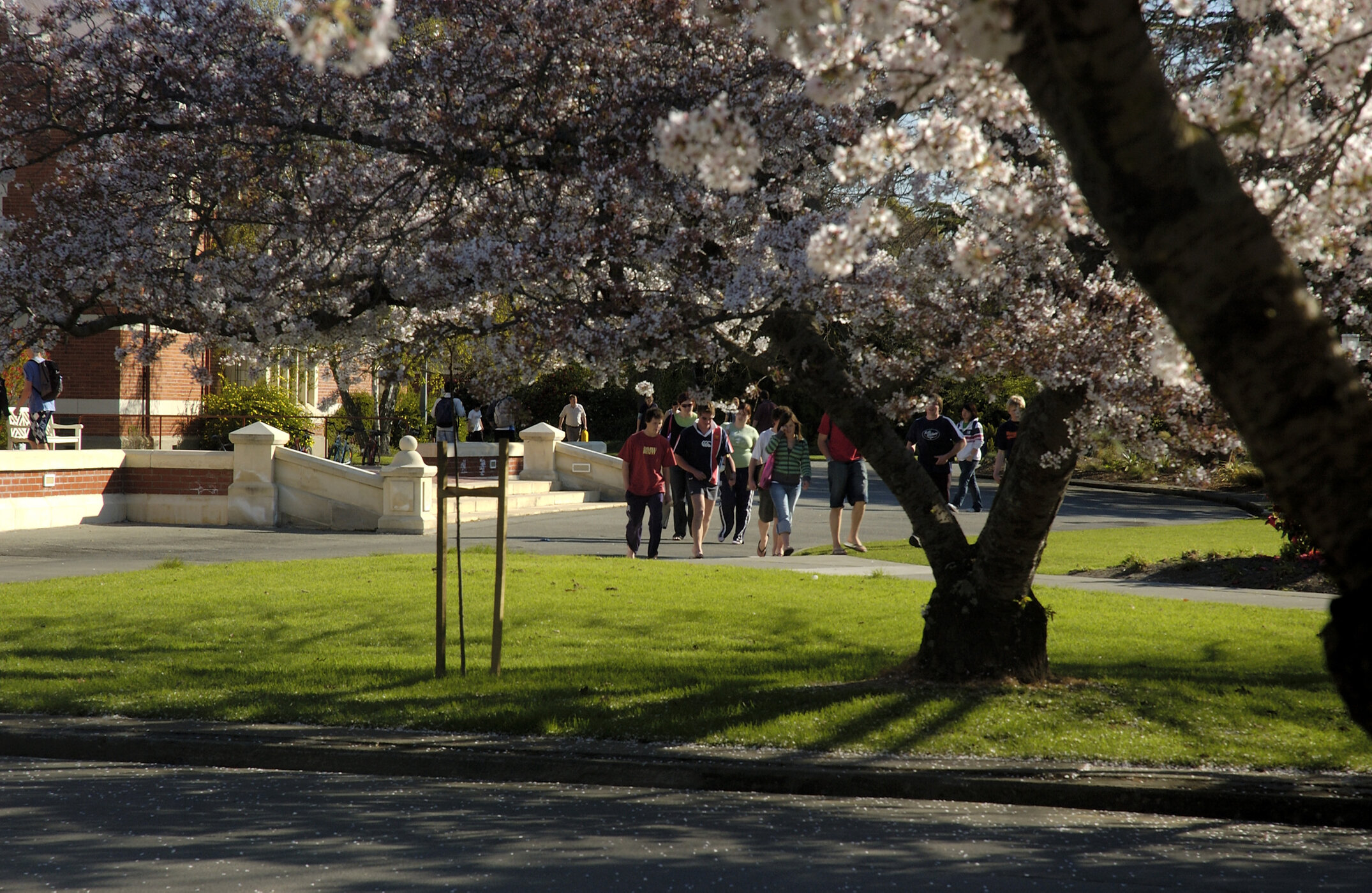 Lincoln Campus in Spring, 14 September 2006 (54)
