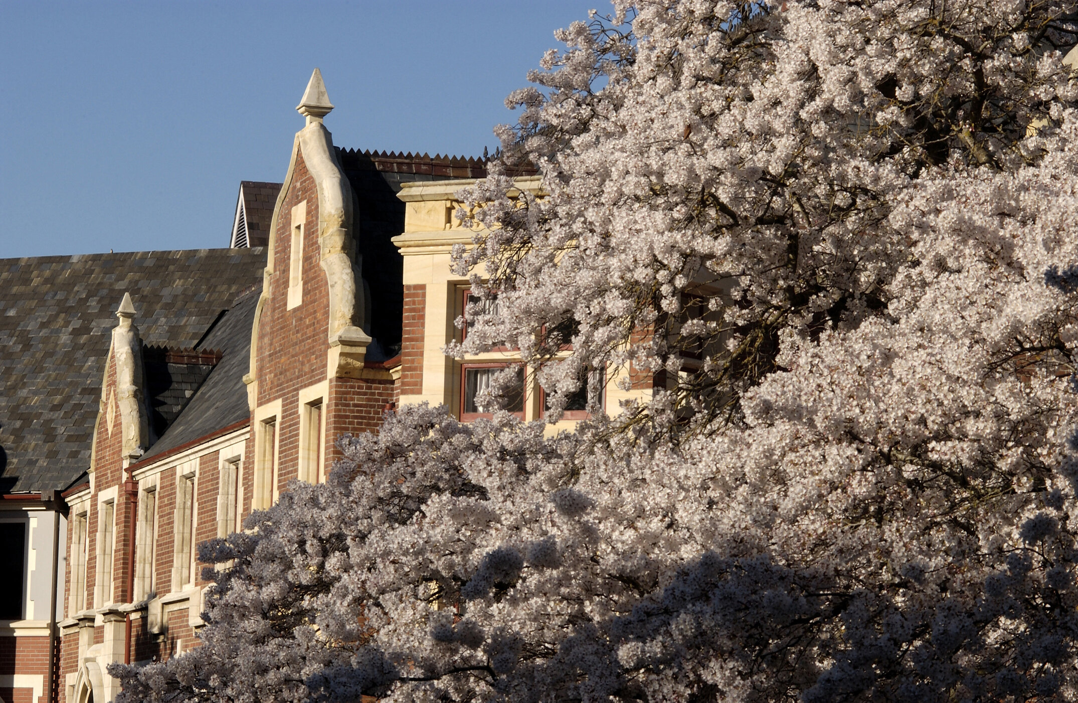 Lincoln Campus in Spring, 12 September 2006 (51)