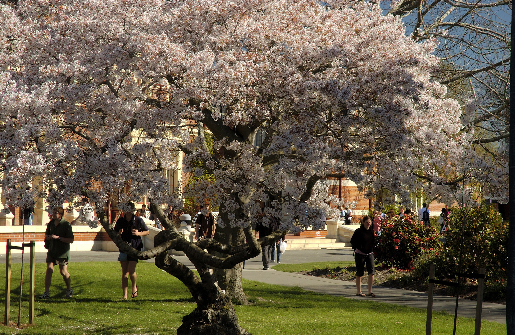 Lincoln Campus in Spring, 14 September 2006 (46)
