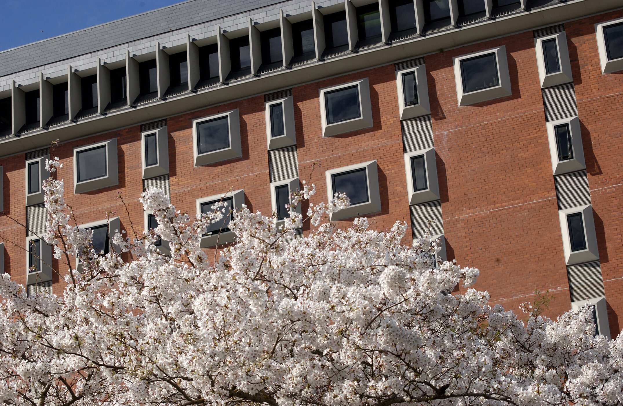 Lincoln Campus in Spring, 12 September 2006 (28)