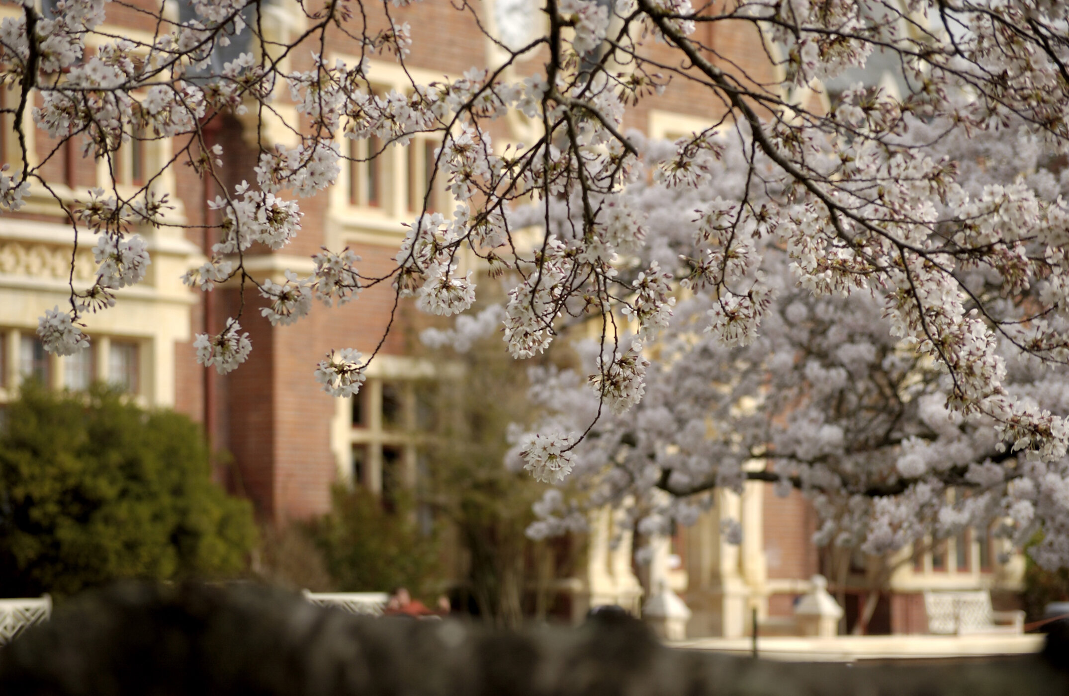 Lincoln Campus in Spring, 12 September 2006 (48)