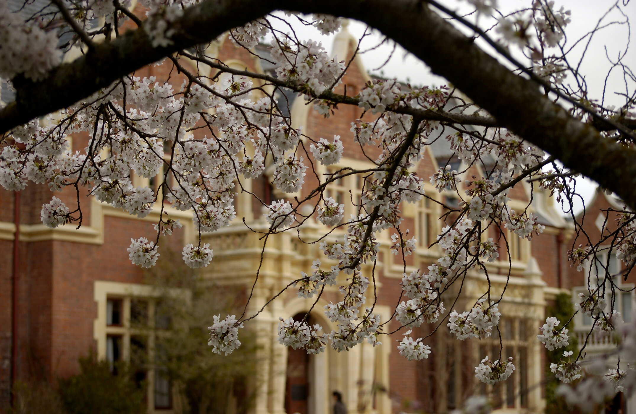 Lincoln Campus in Spring, 12 September 2006 (43)