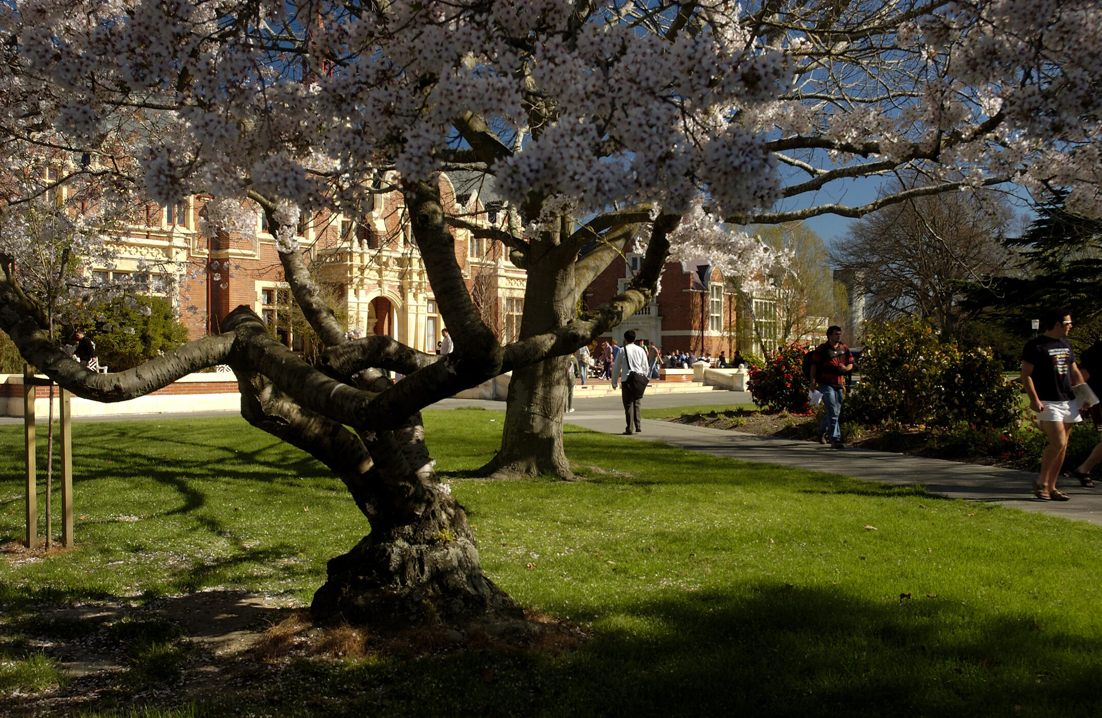Lincoln Campus in Spring, 14 September 2006 (43)