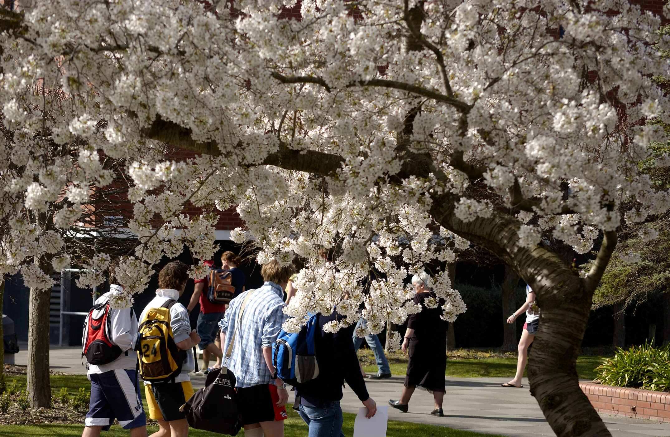 Lincoln Campus in Spring, 14 September 2006 (14)