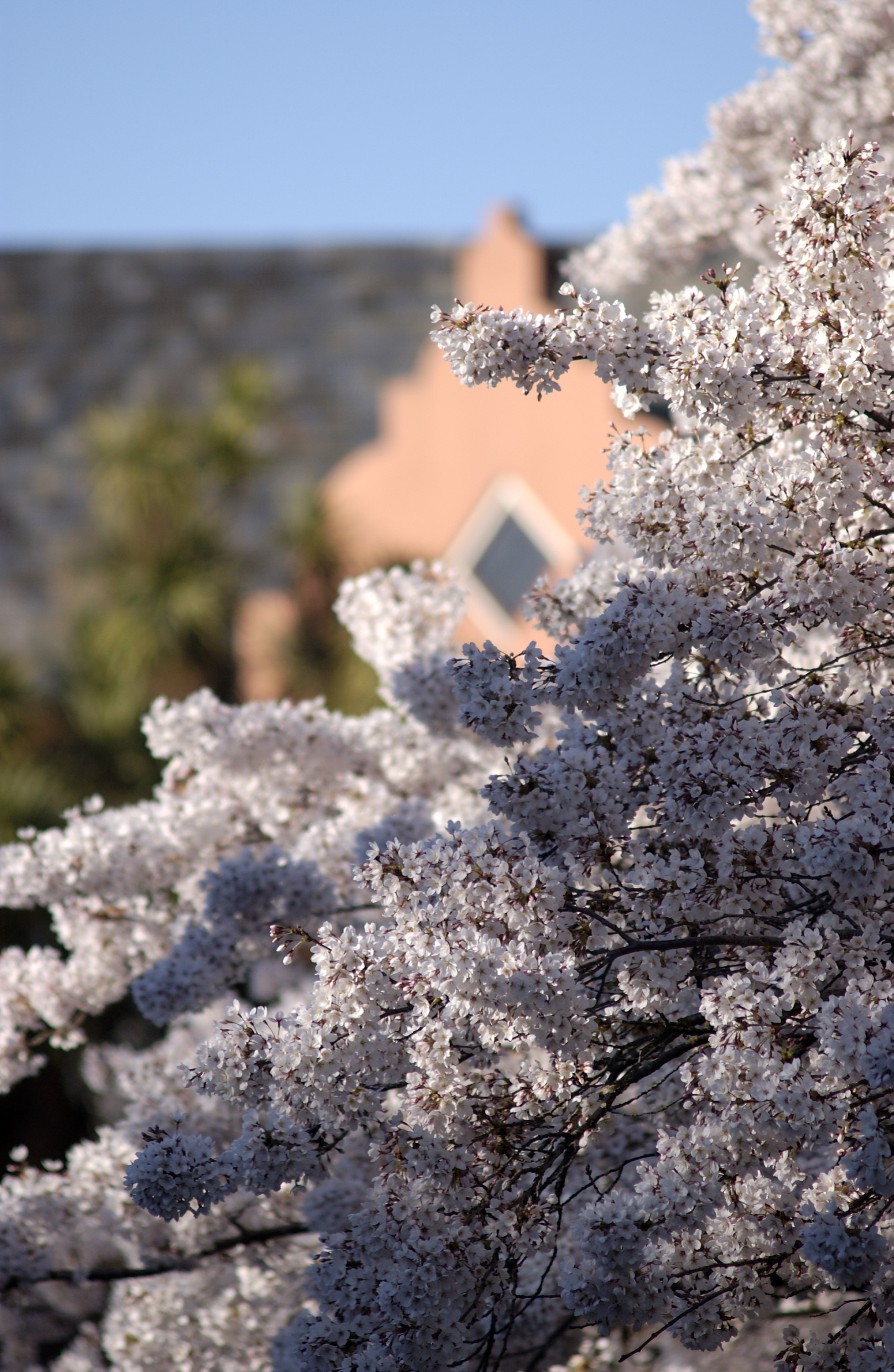 Lincoln Campus in Spring, 12 September 2006 (16)