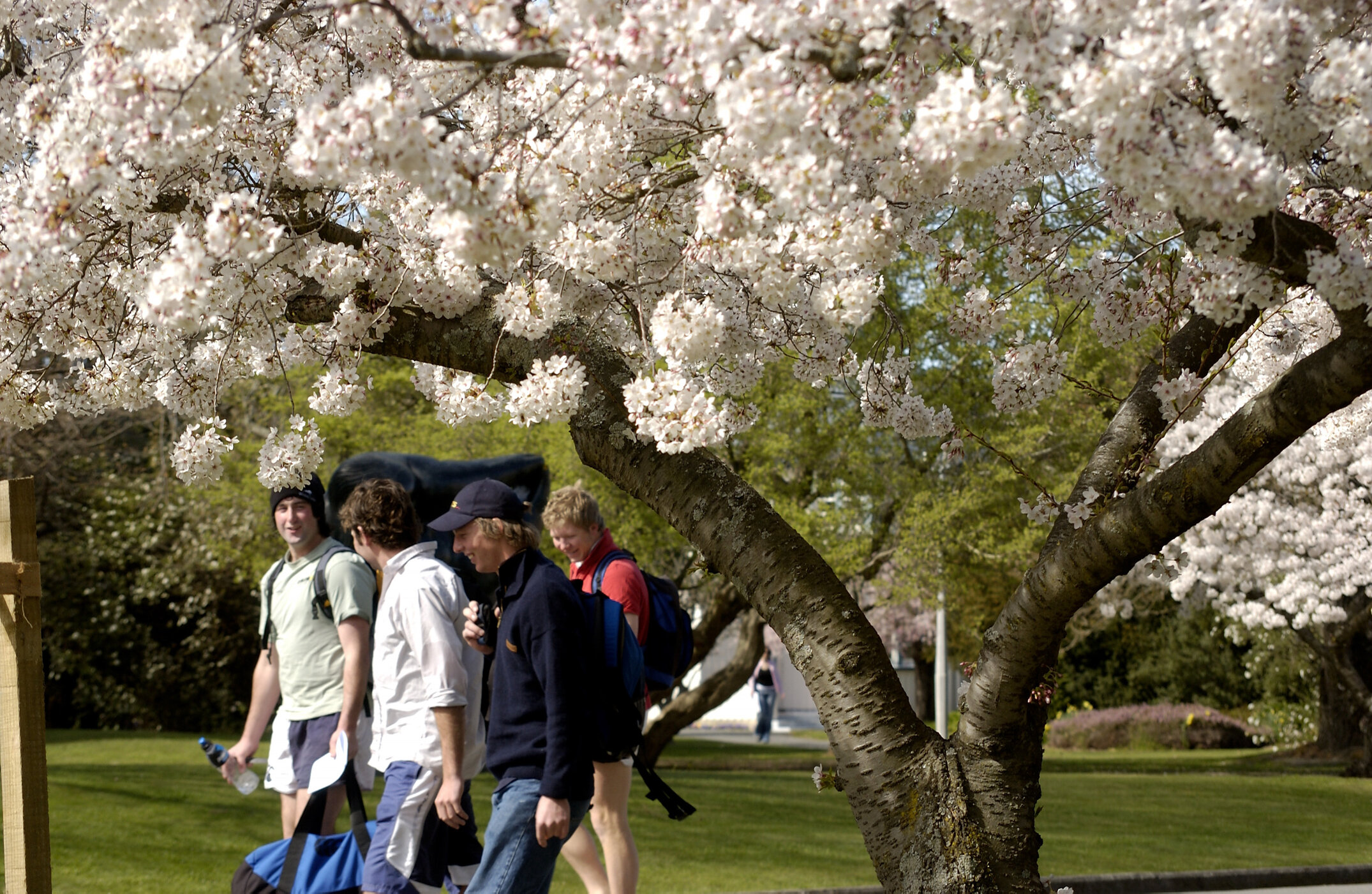 Lincoln Campus in Spring, 14 September 2006 (19)