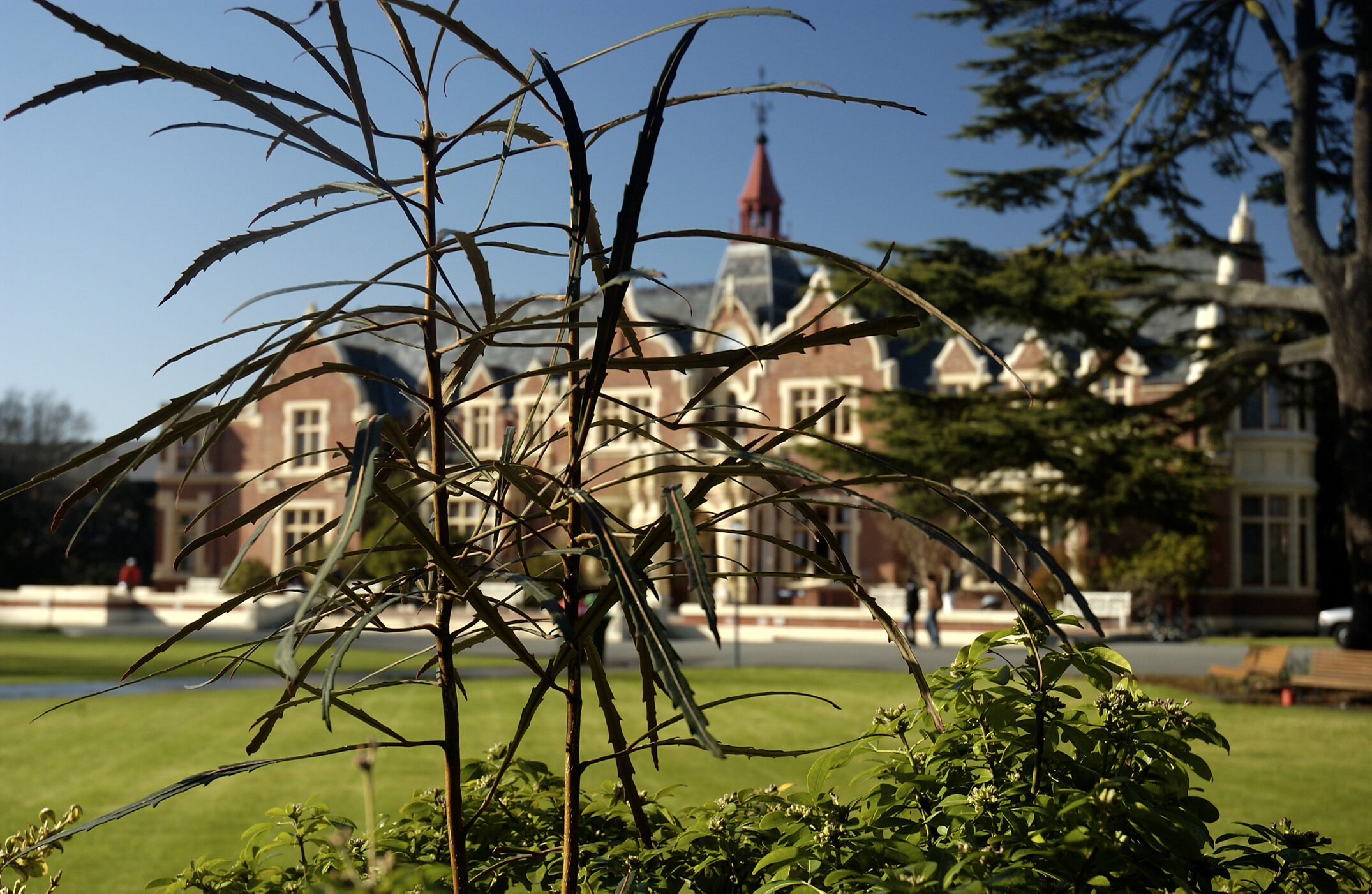 Lincoln Campus in Spring, 12 September 2006 (22)