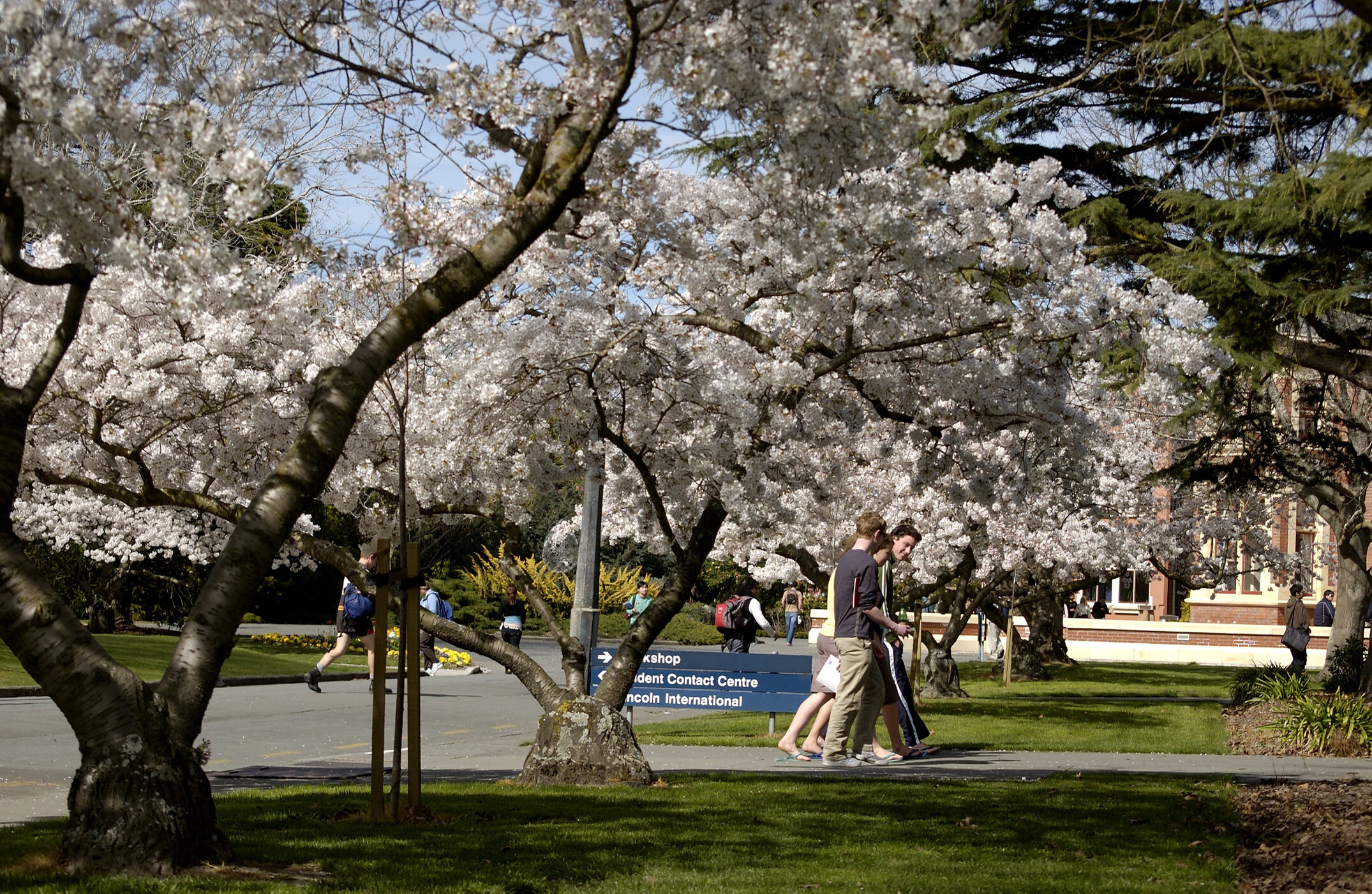 Lincoln Campus in Spring, 14 September 2006 (15)