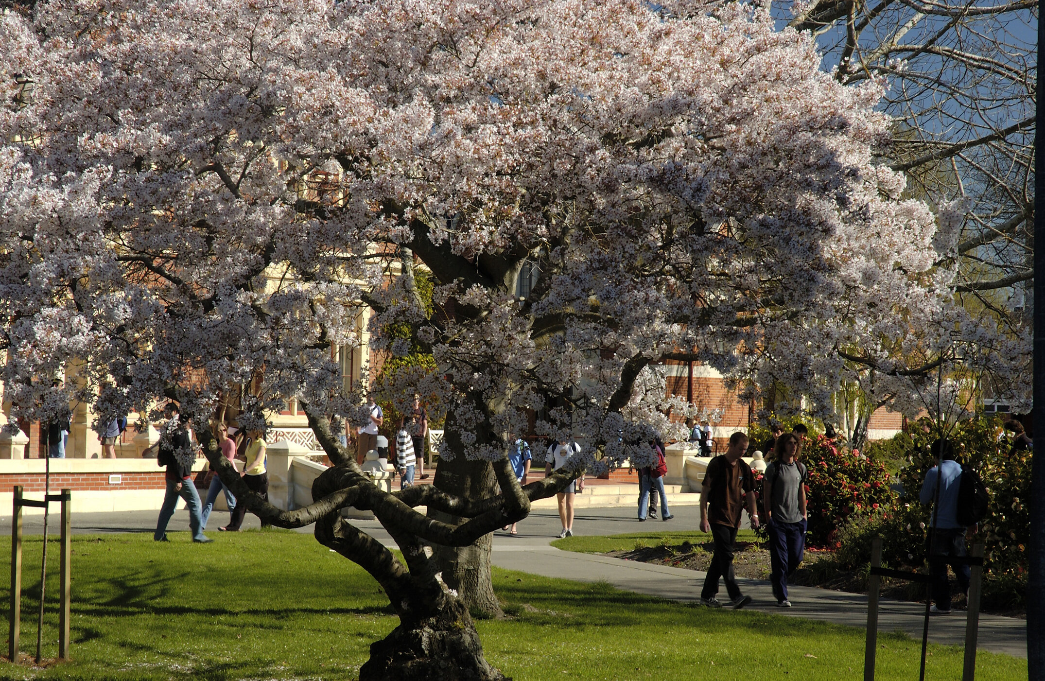 Lincoln Campus in Spring, 14 September 2006 (47)