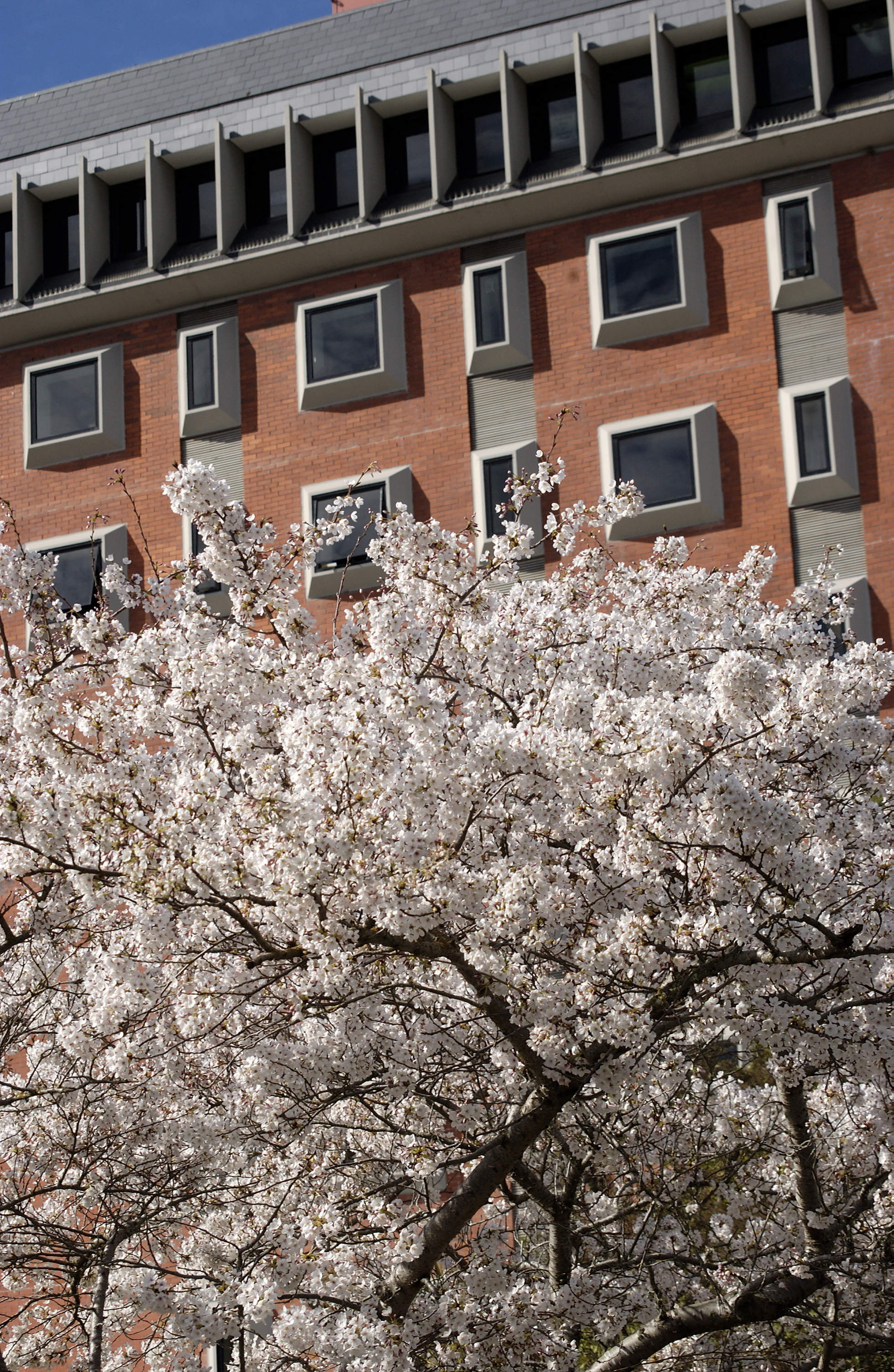 Lincoln Campus in Spring, 12 September 2006 (29)