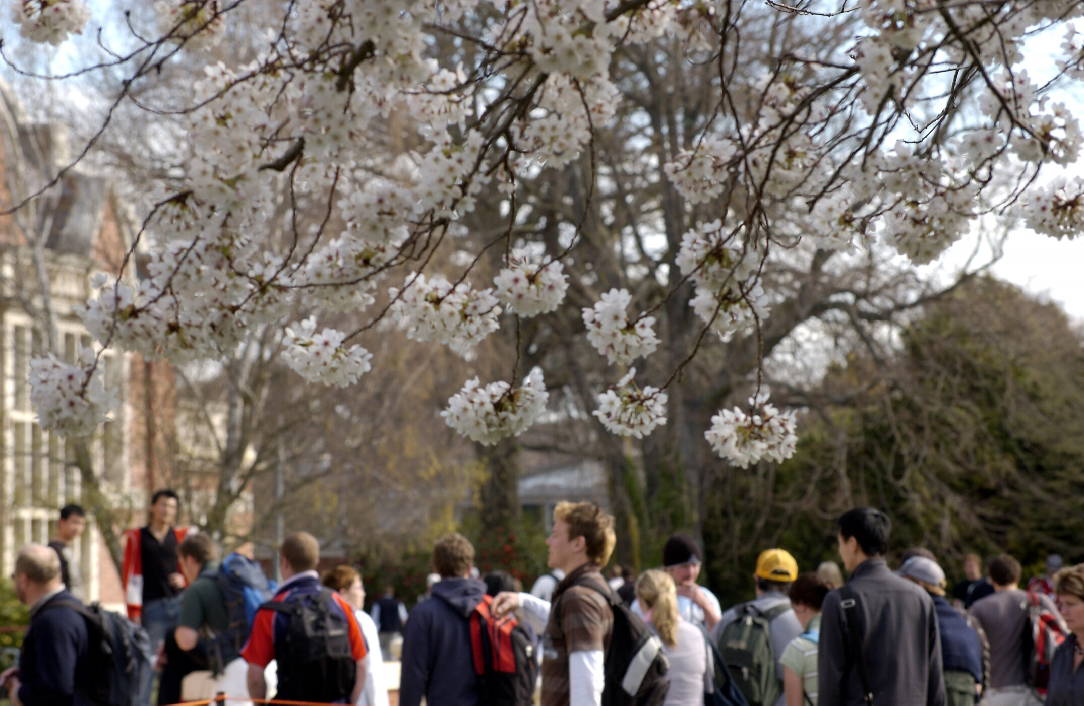 Lincoln Campus in Spring, 12 September 2006 (33)