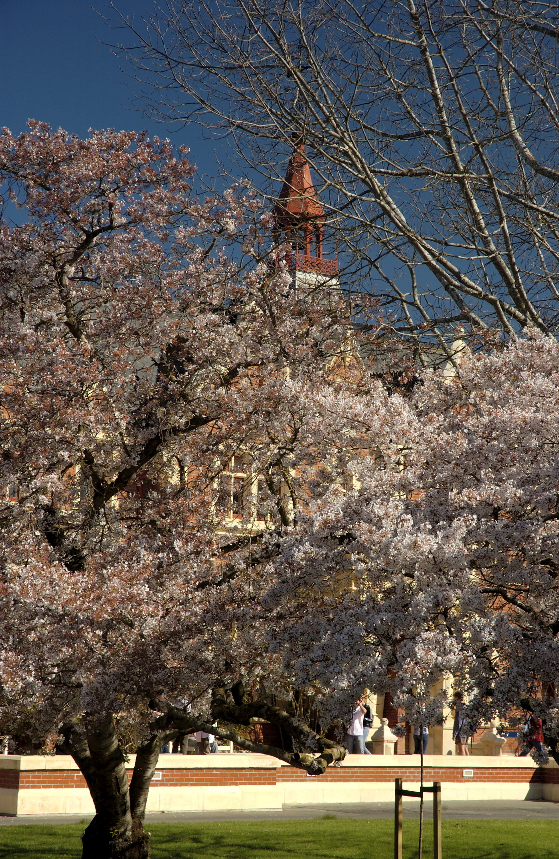 Lincoln Campus in Spring, 14 September 2006 (50)