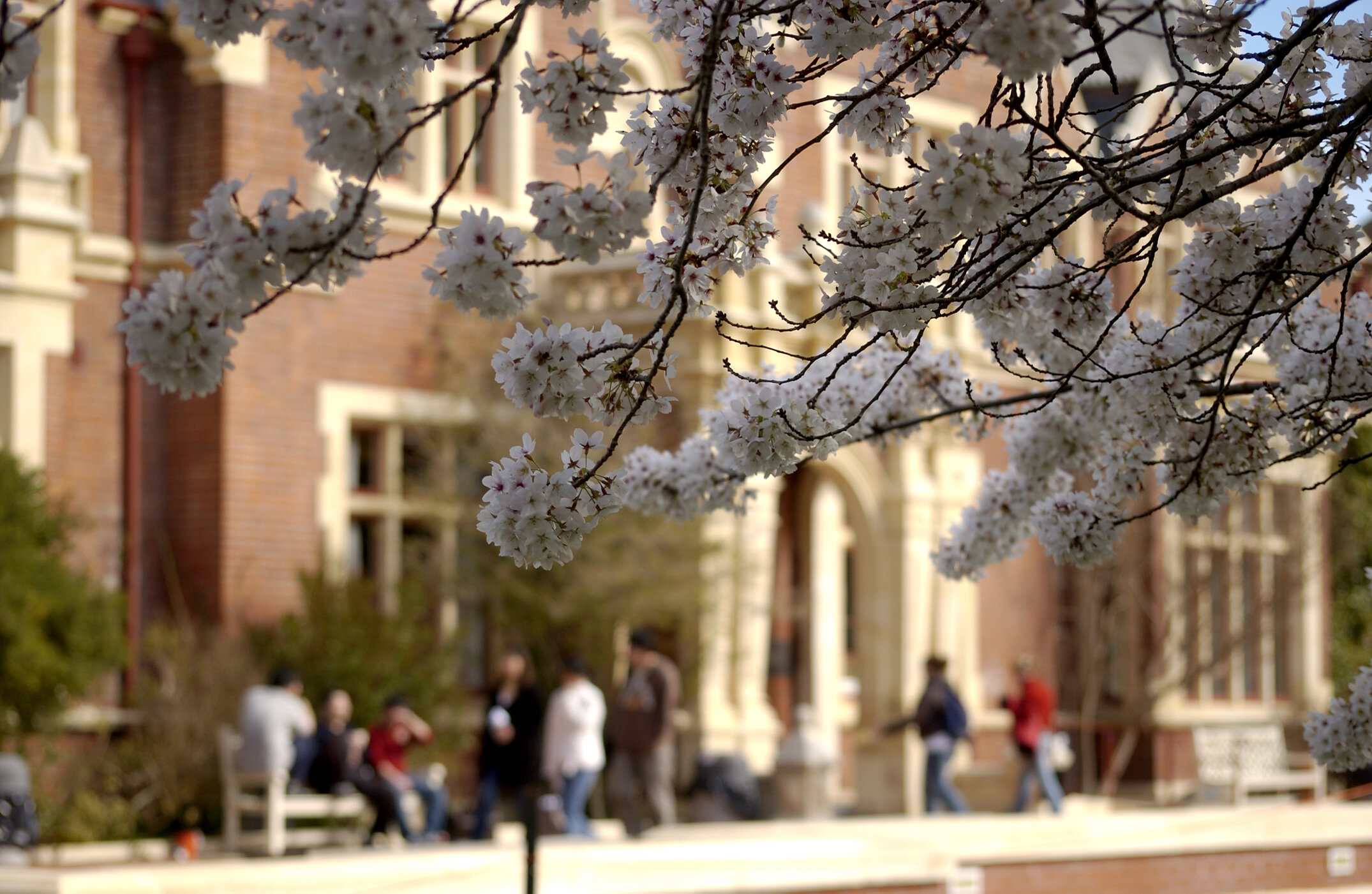 Lincoln Campus in Spring, 12 September 2006 (31)