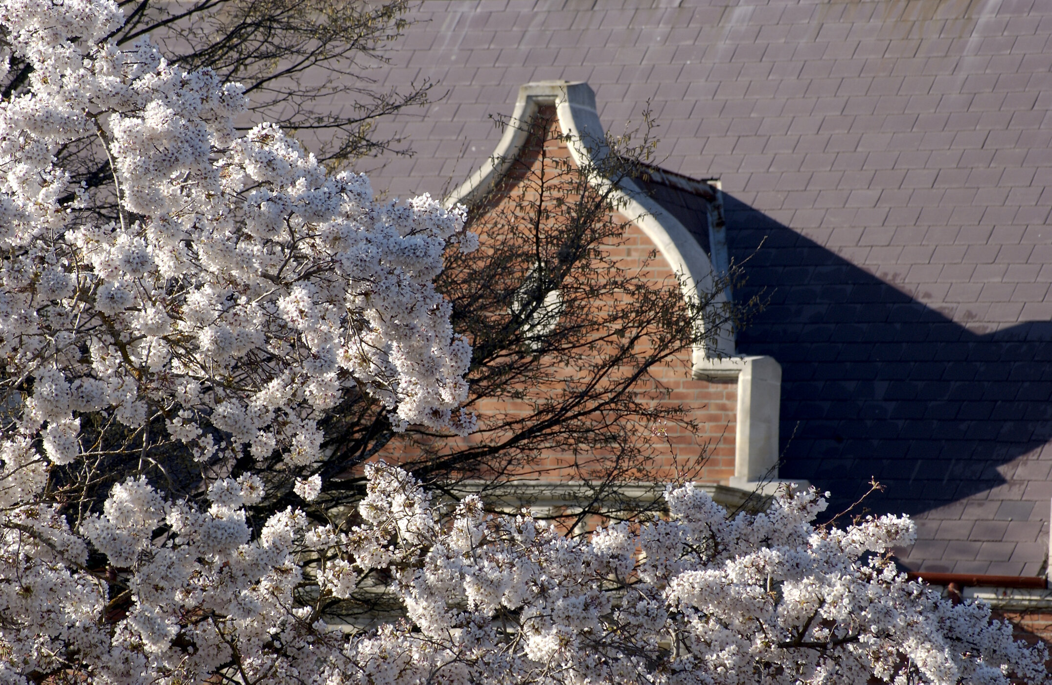 Lincoln Campus in Spring, 12 September 2006 (19)
