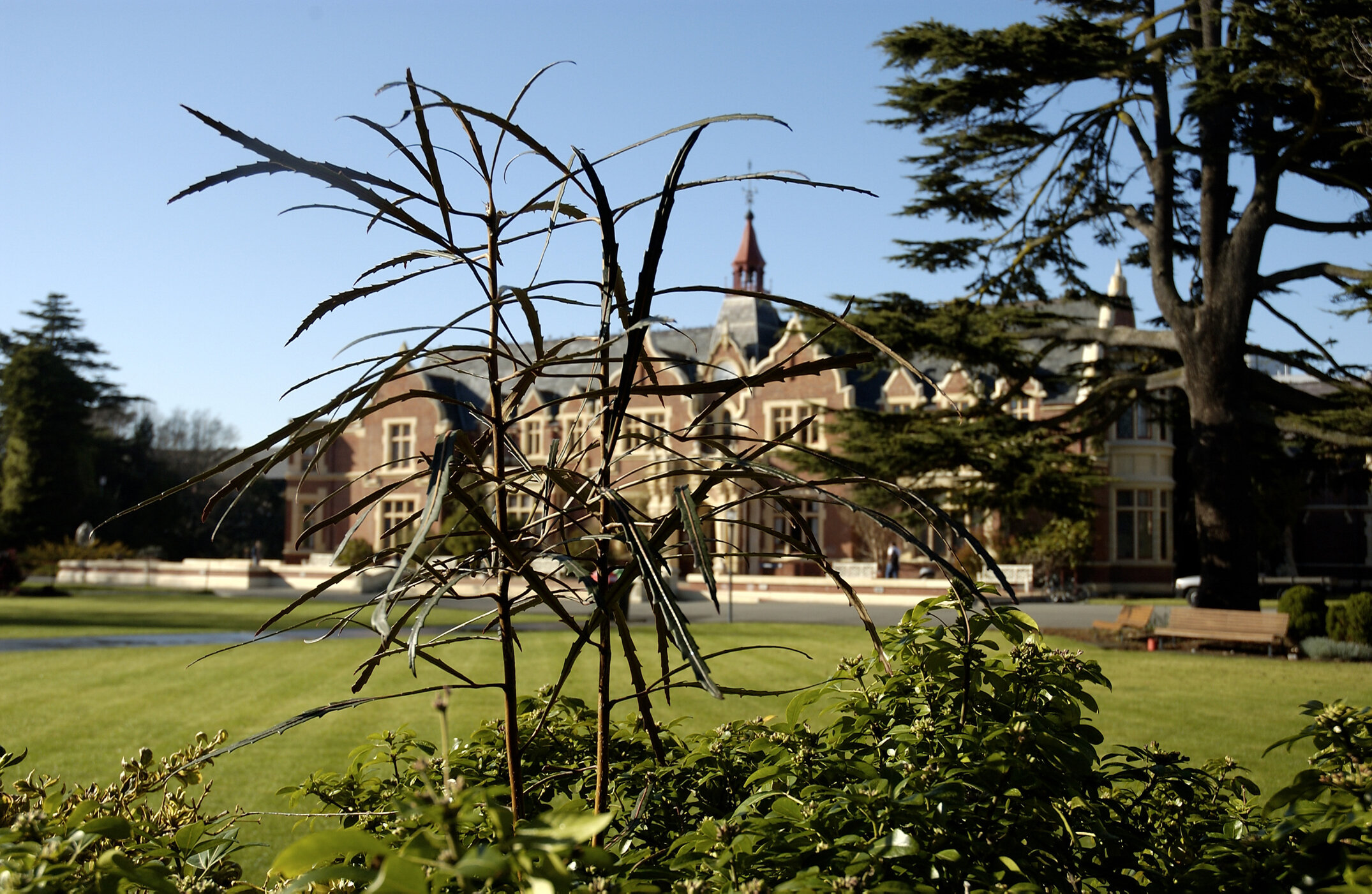 Lincoln Campus in Spring, 12 September 2006 (21)