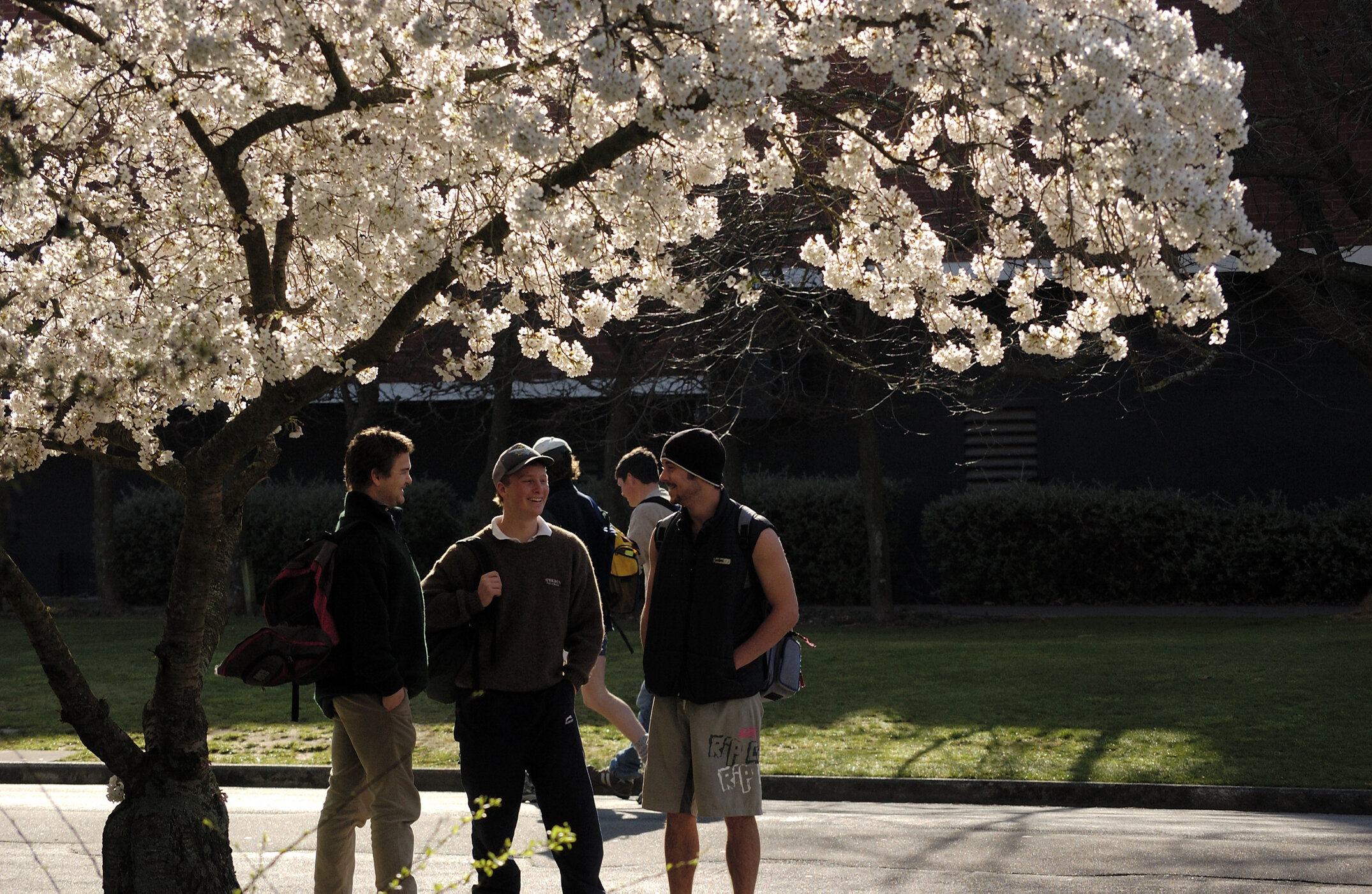 Lincoln Campus in Spring, 14 September 2006 (1)