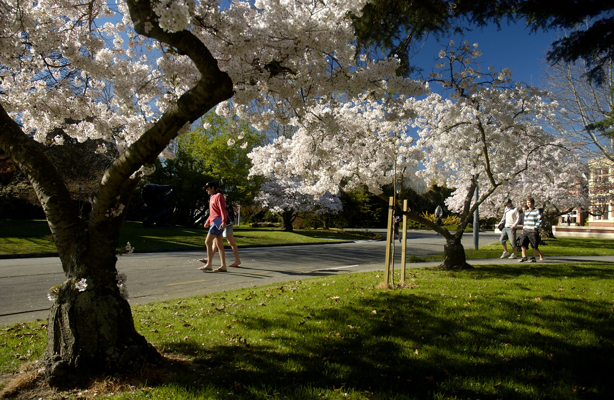 Lincoln Campus in Spring, 14 September 2006 (27)