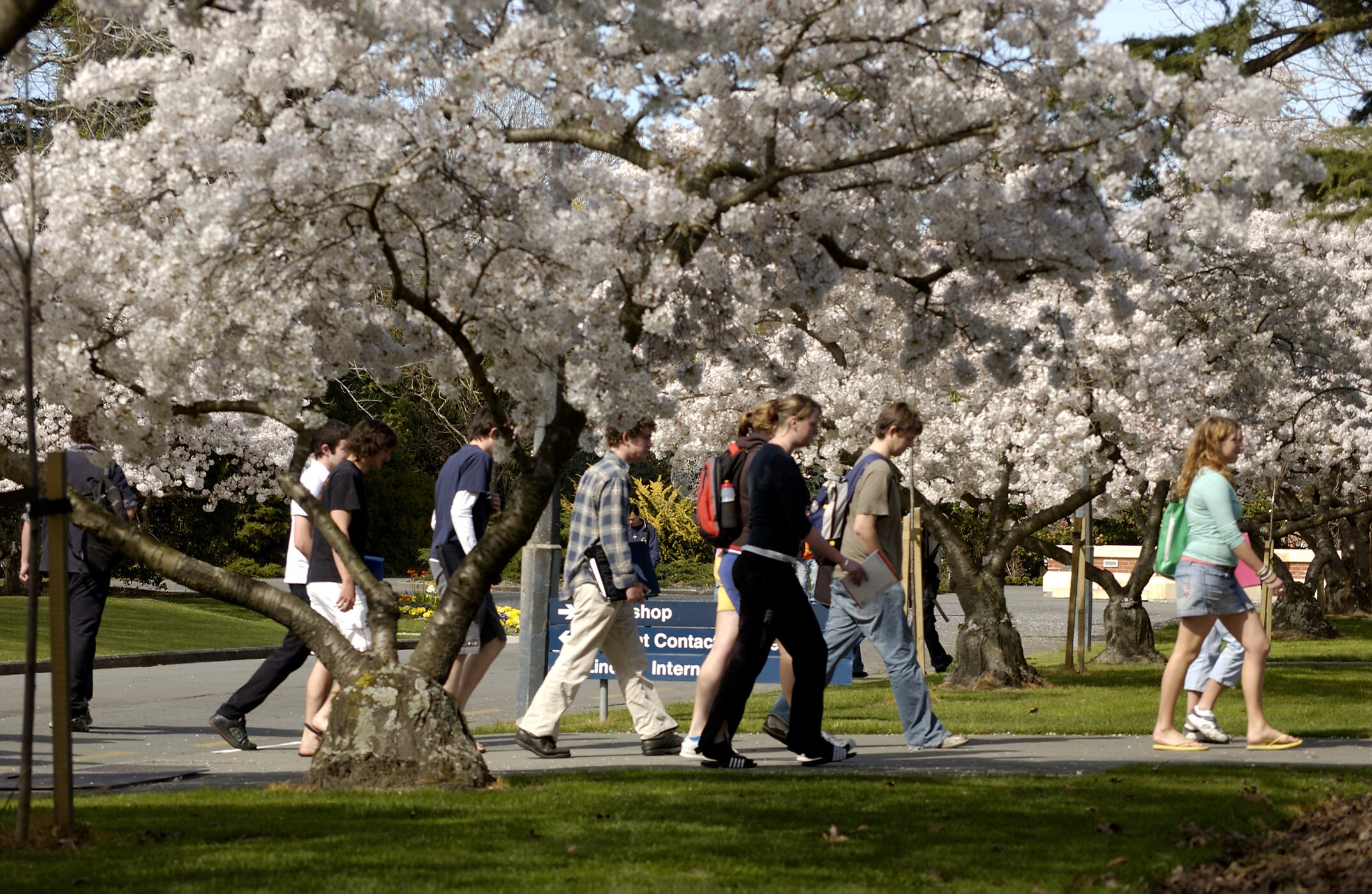 Lincoln Campus in Spring, 14 September 2006 (17)