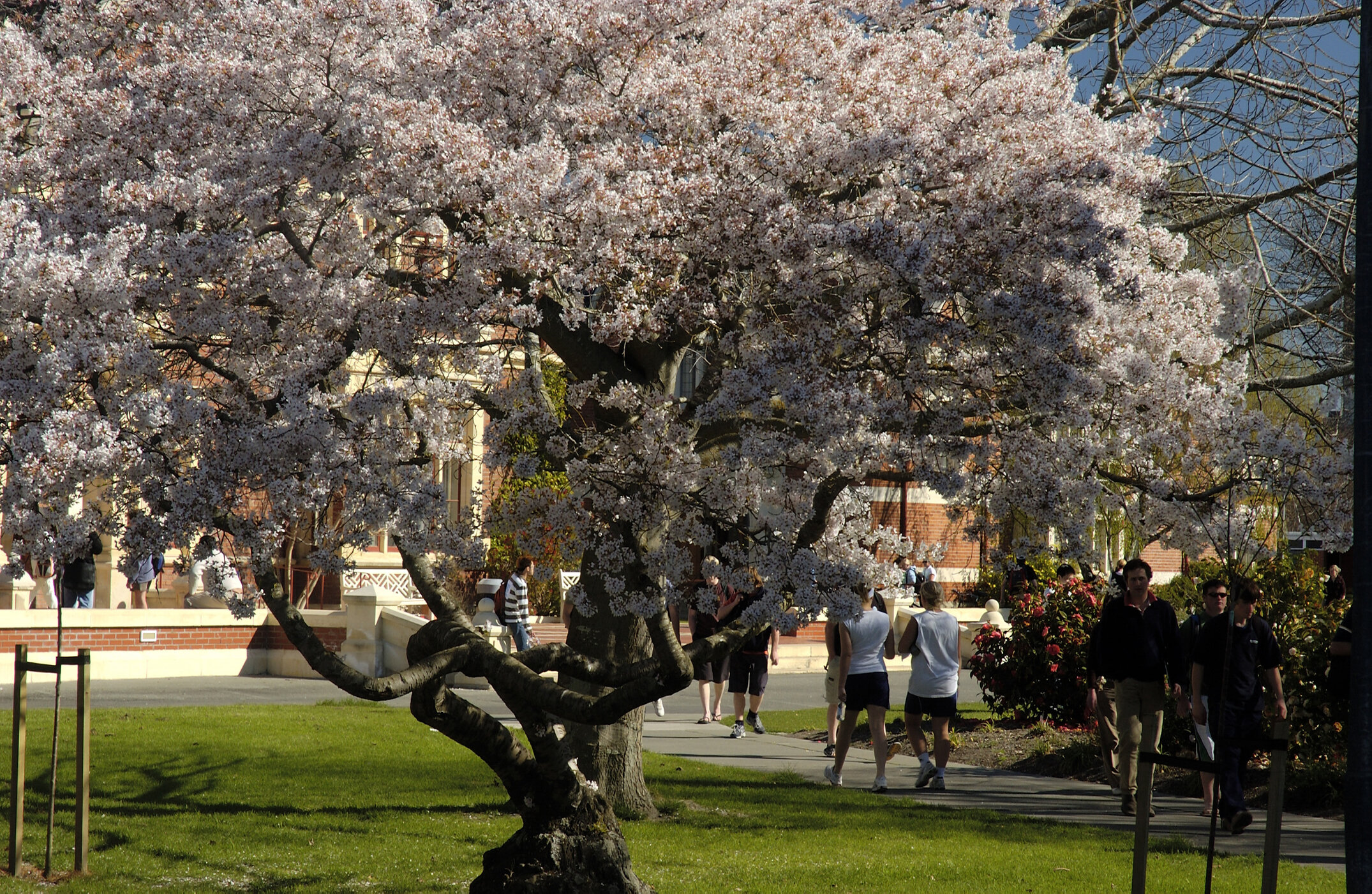 Lincoln Campus in Spring, 14 September 2006 (49)