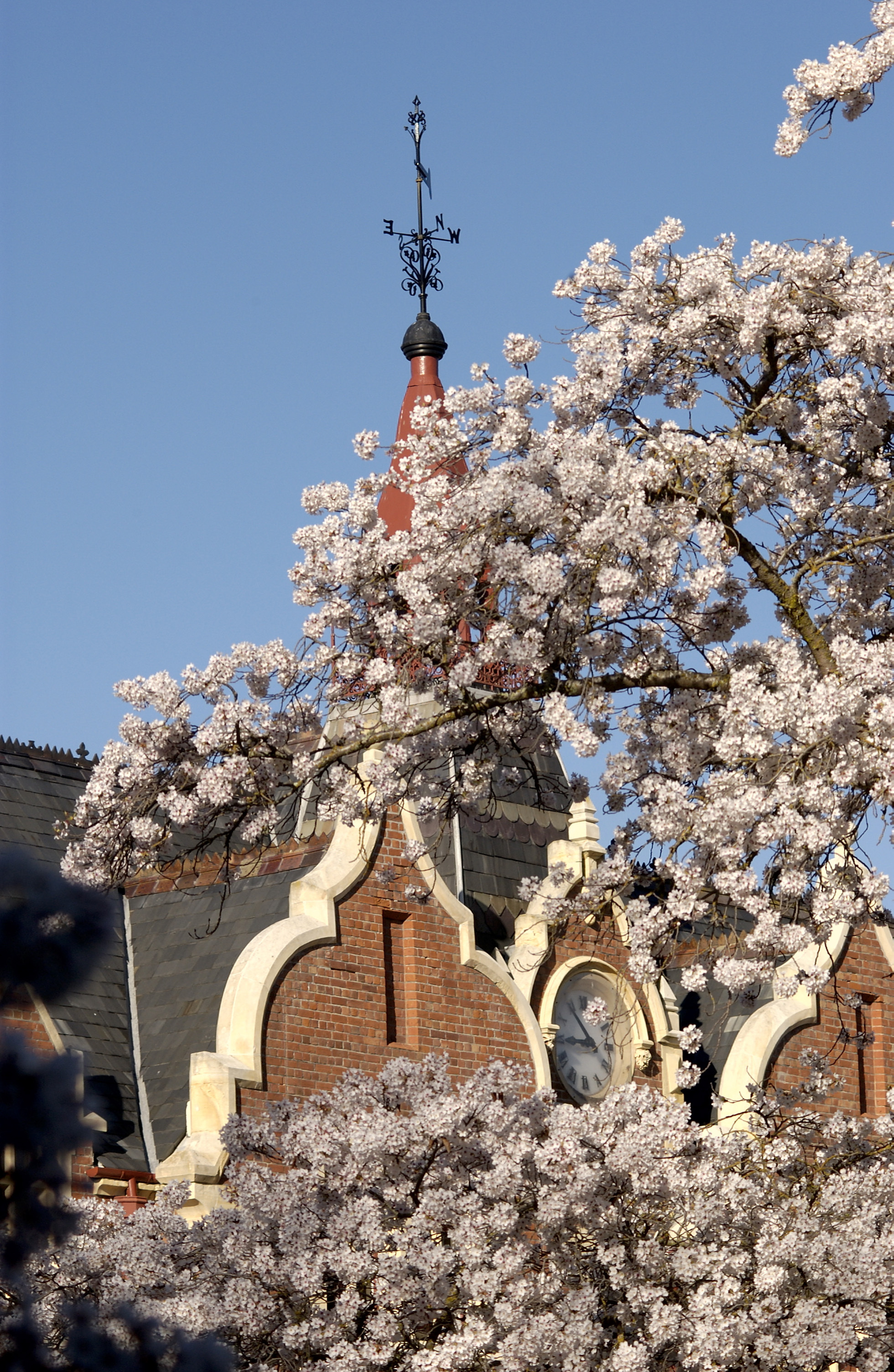 Lincoln Campus in Spring, 12 September 2006 (17)