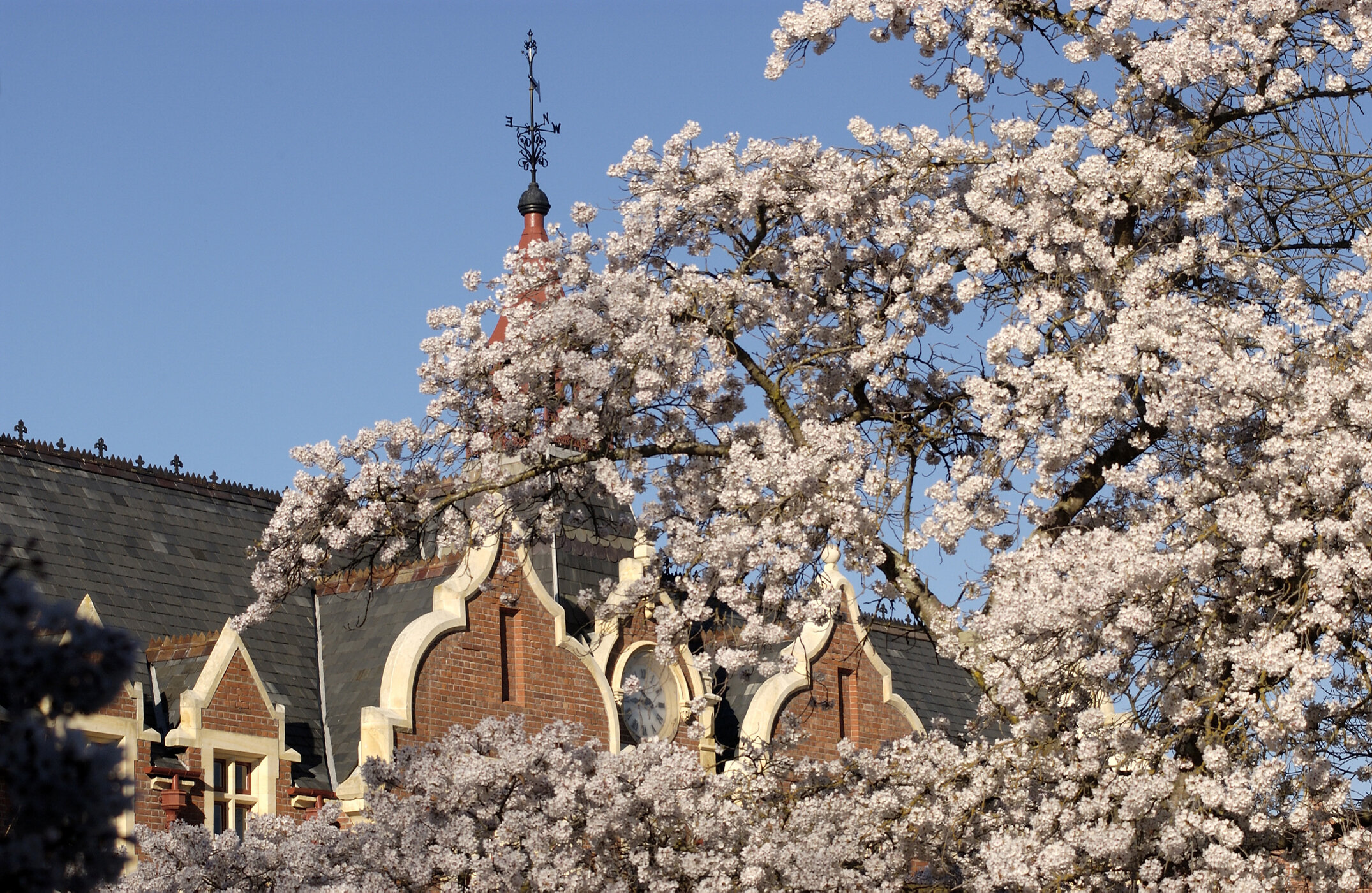 Lincoln Campus in Spring, 12 September 2006 (52)