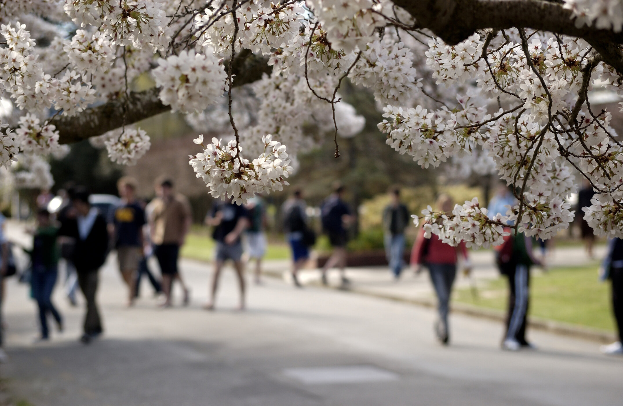 Lincoln Campus in Spring, 12 September 2006 (34)